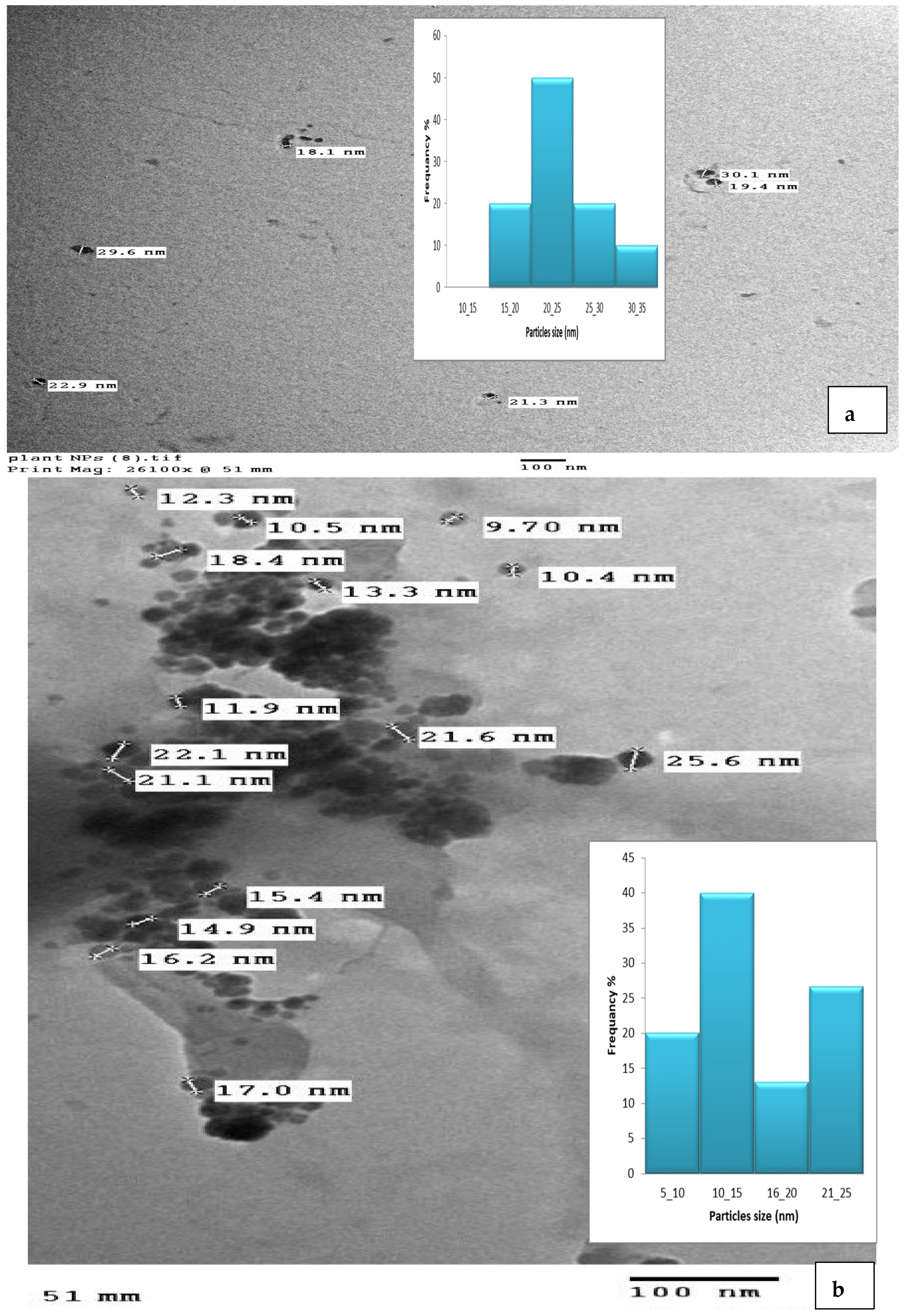 Pharmaceutics 15 02551 g006 Pharmaceutics 15 02551 g006
