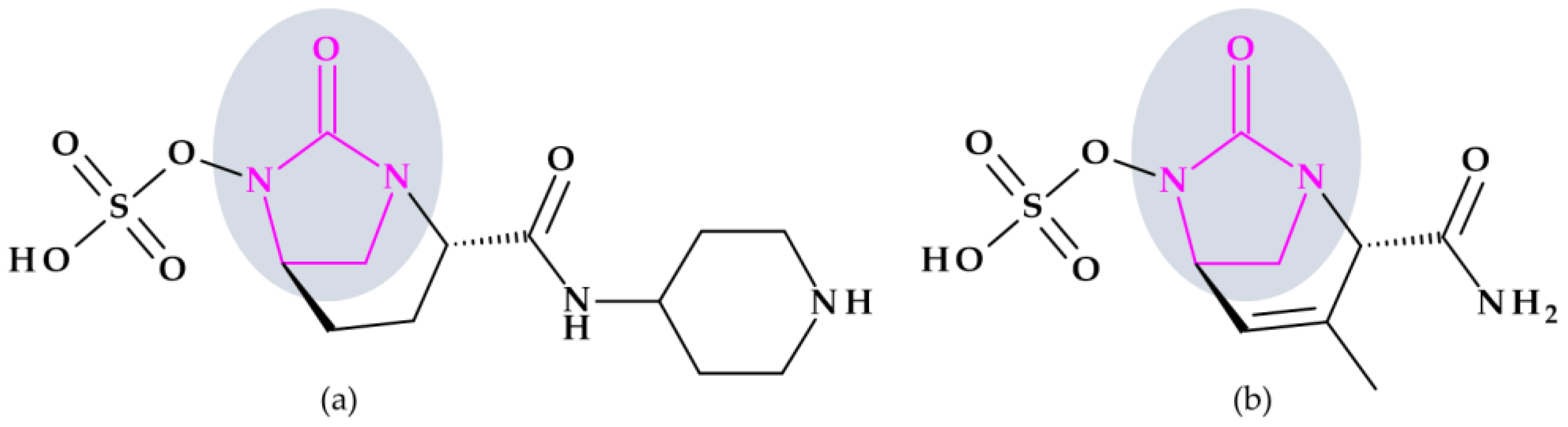 Pharmaceutics 15 02554 g010