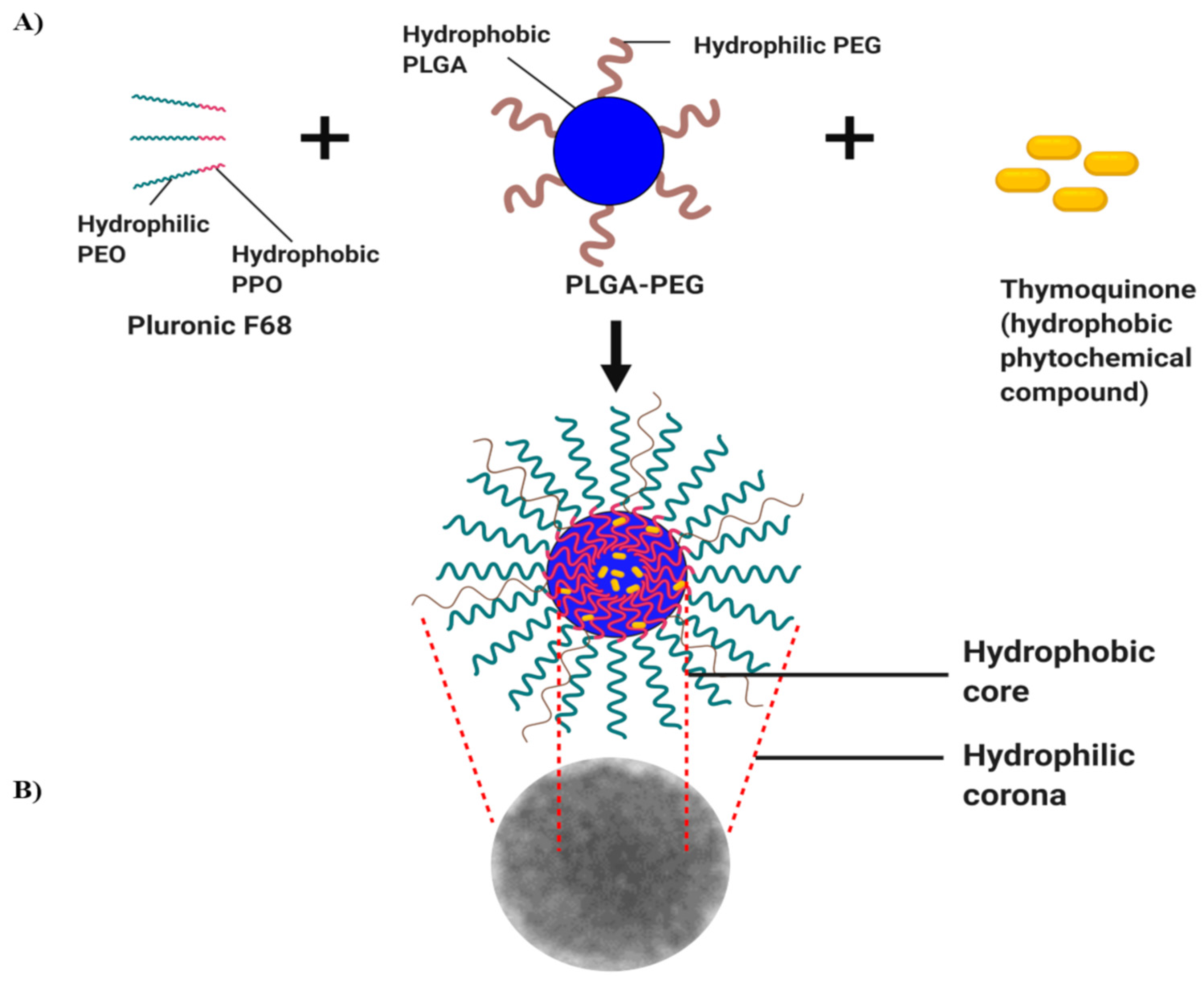 Pharmaceutics 15 02566 g005