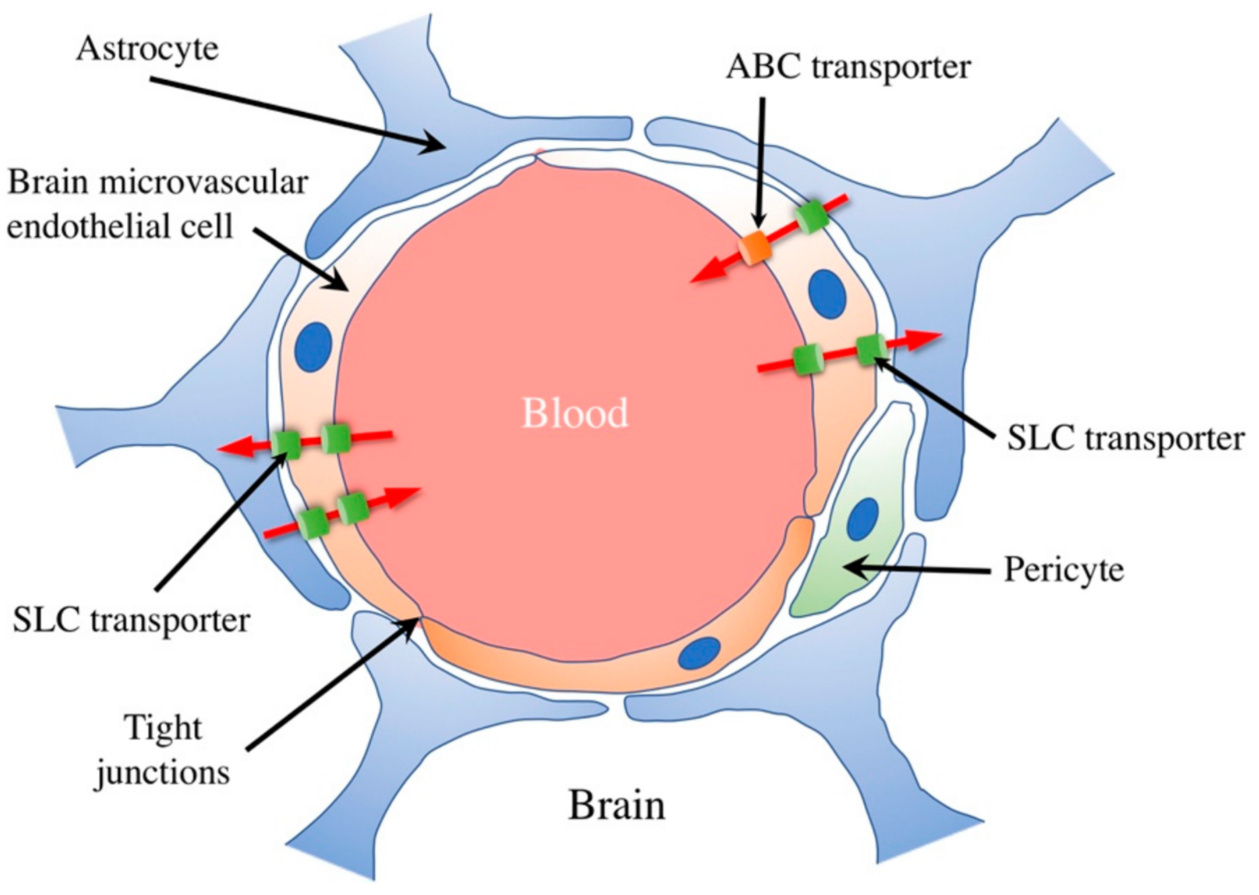 Pharmaceutics 15 02599 g002
