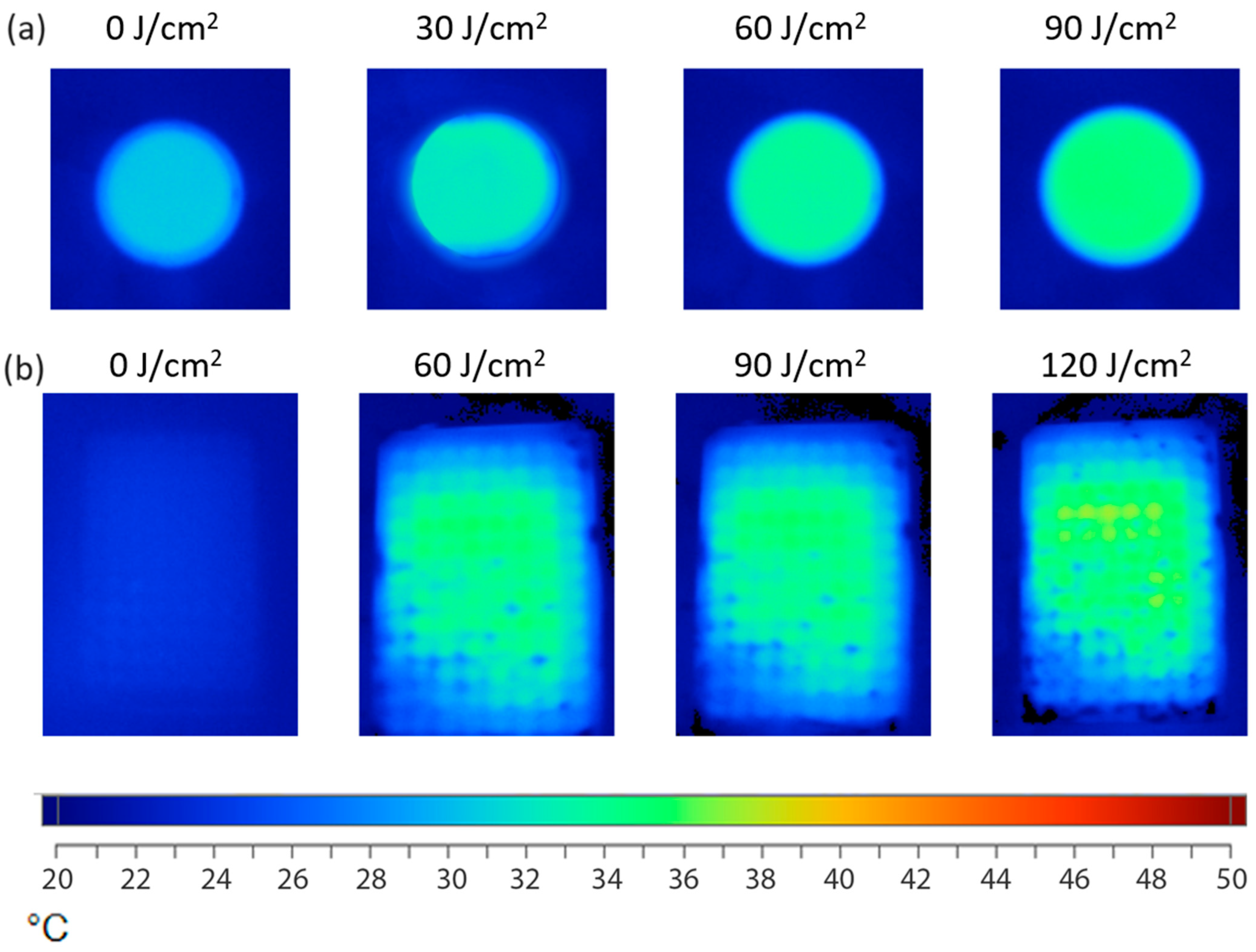 Pharmaceutics 15 02616 g005 Pharmaceutics 15 02616 g005