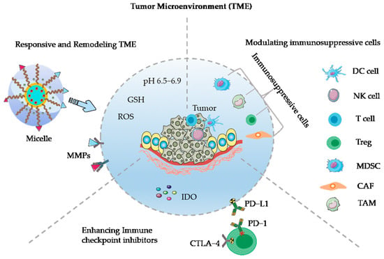 Pharmaceutics | Free Full-Text | Advances in Polymeric Micelles ...