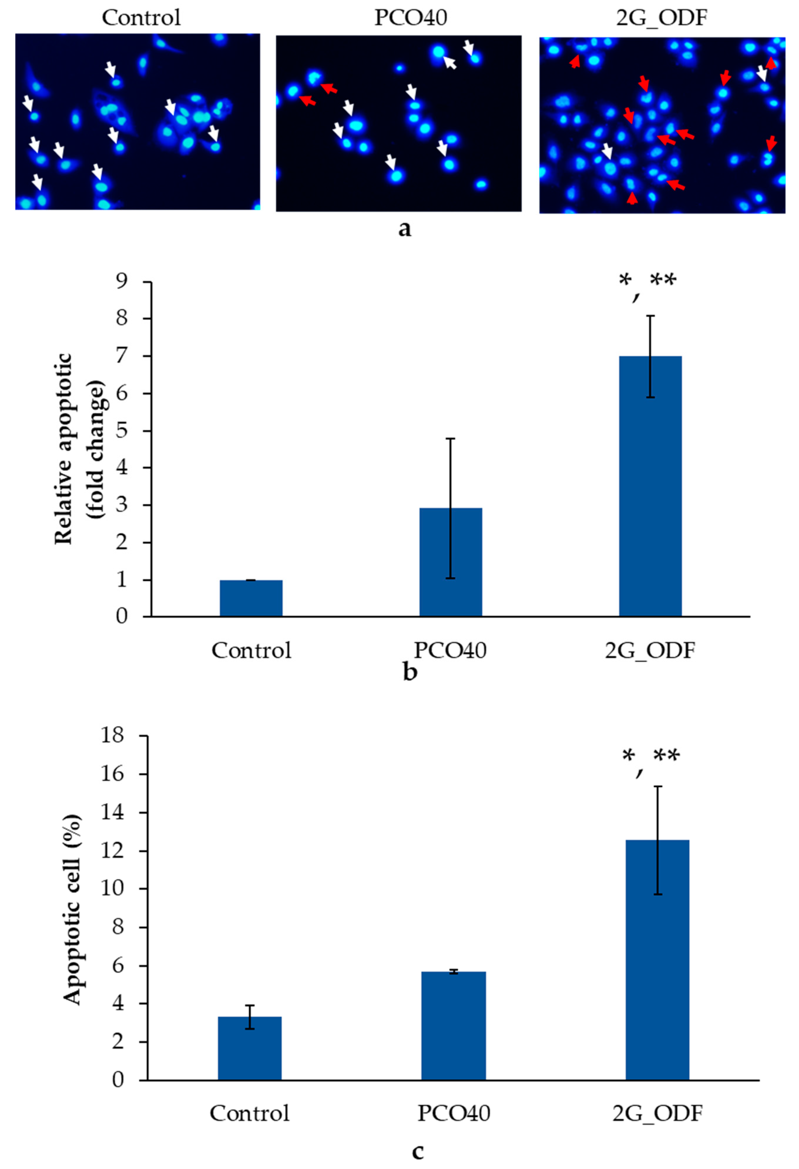 Pharmaceutics 15 02631 g007