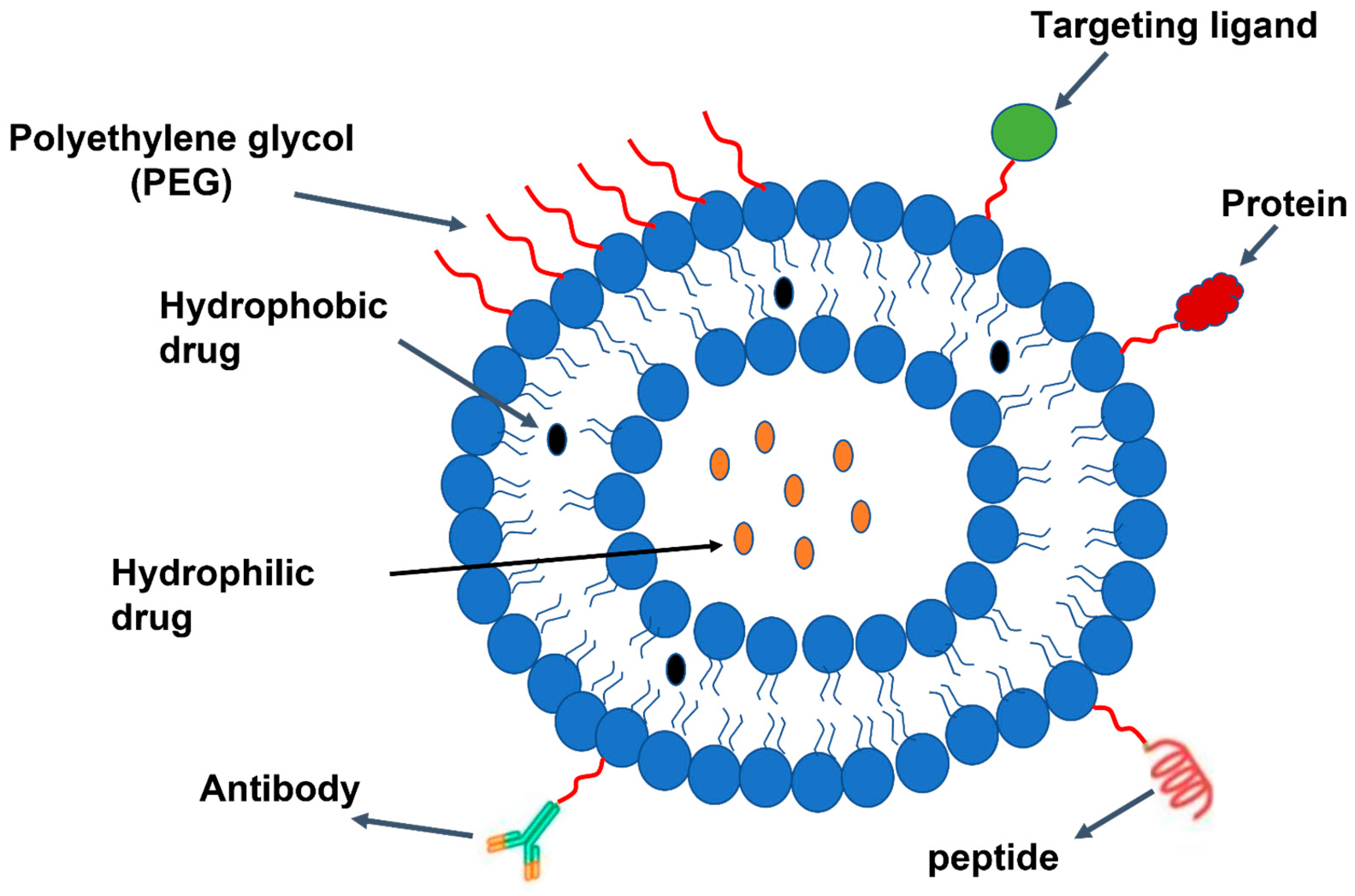 Pharmaceutics 15 02635 g008 Pharmaceutics 15 02635 g008