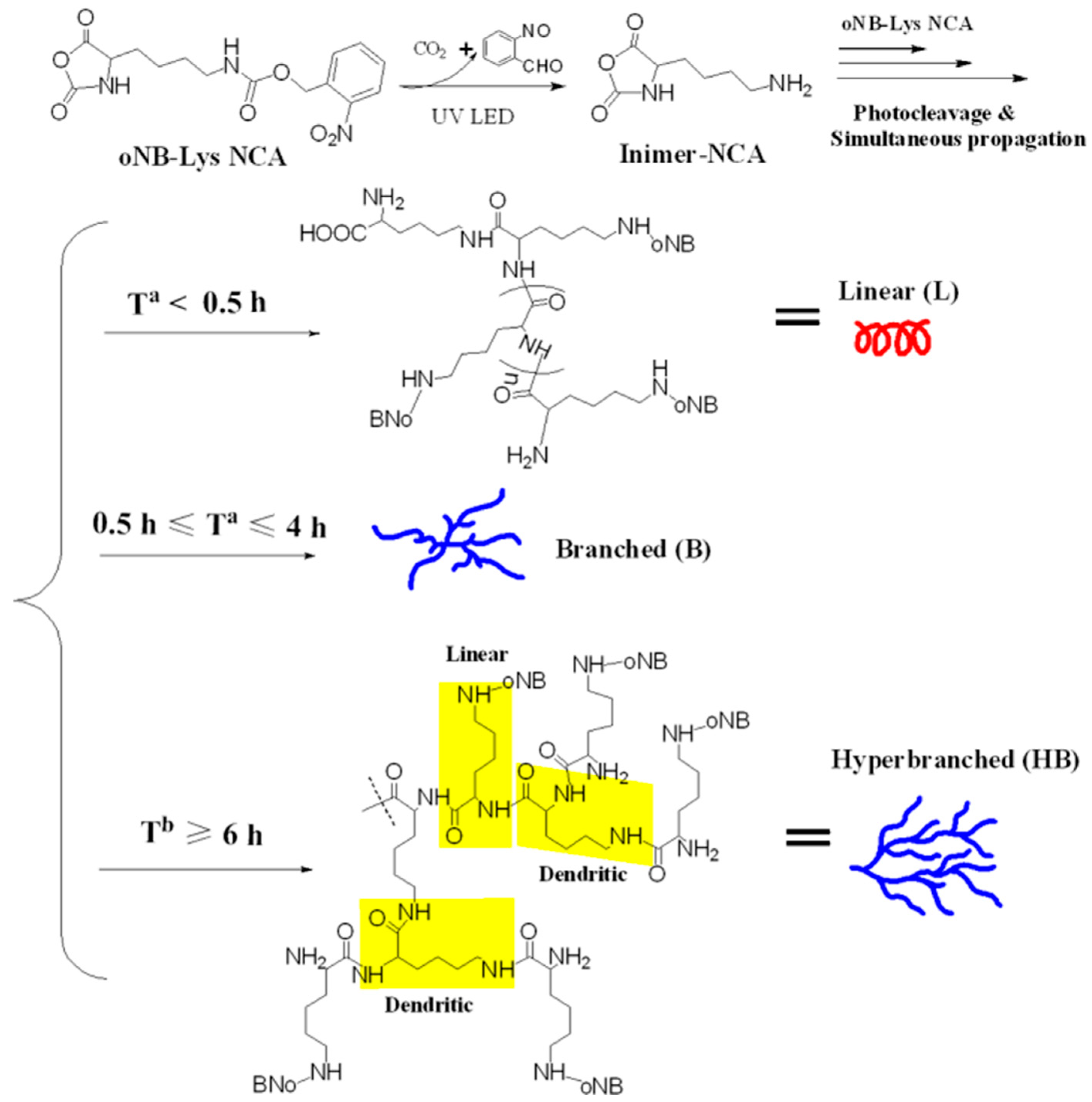 Pharmaceutics | Free Full-Text | Polypeptide-Based Systems: From Synthesis  to Application in Drug Delivery