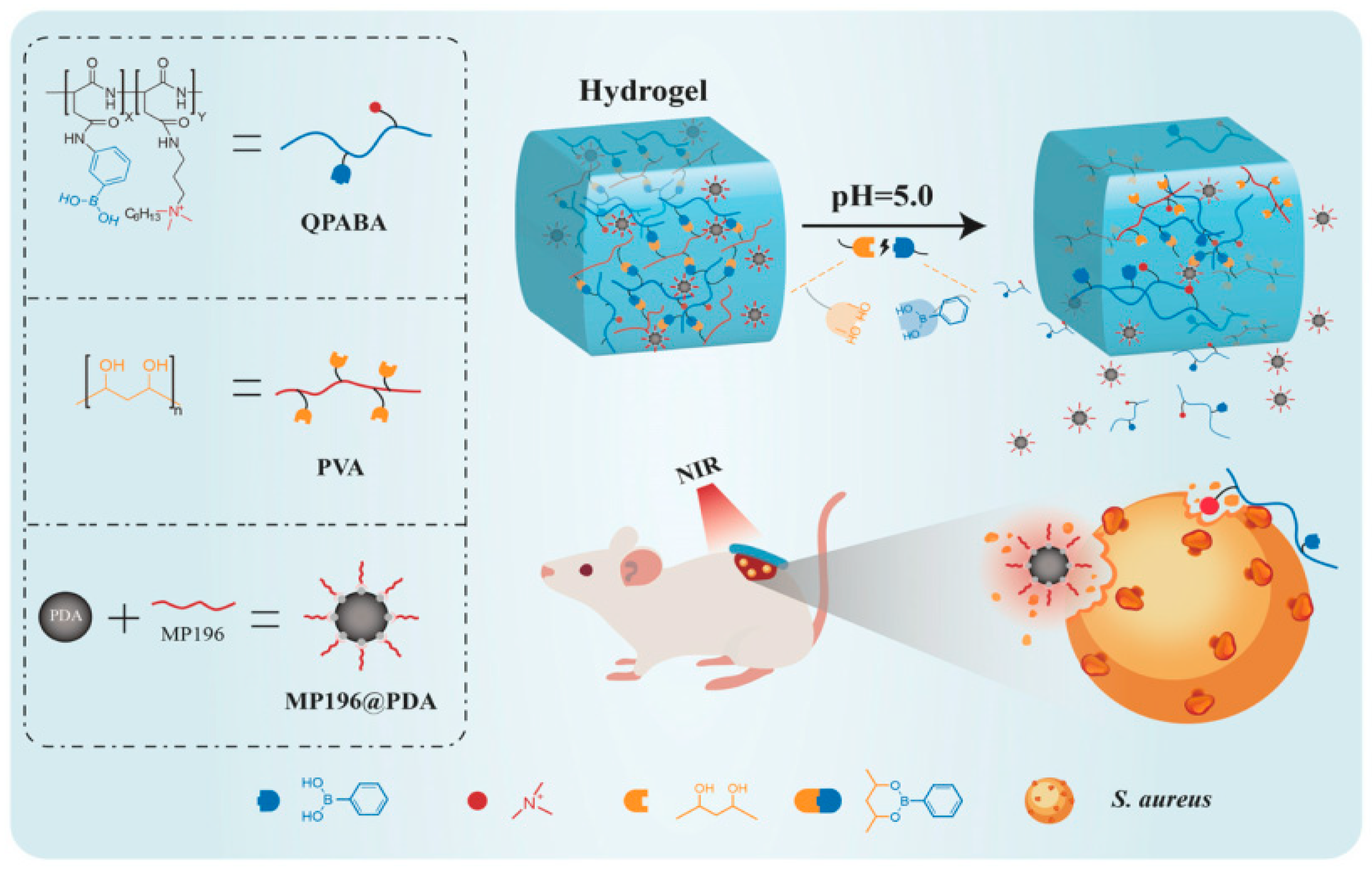 Pharmaceutics 15 02641 g026 Pharmaceutics 15 02641 g026