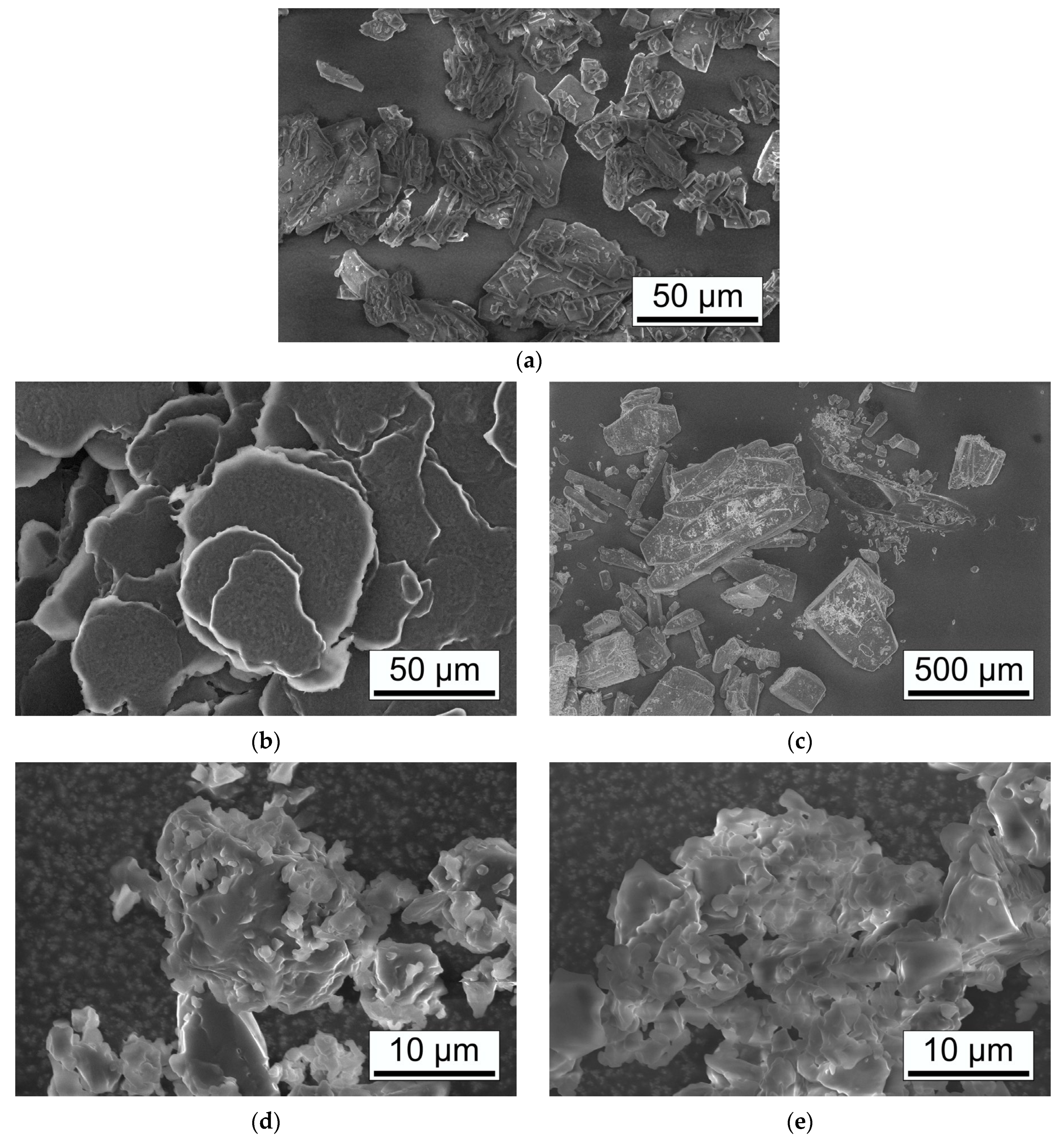Pharmaceutics 15 02653 g006