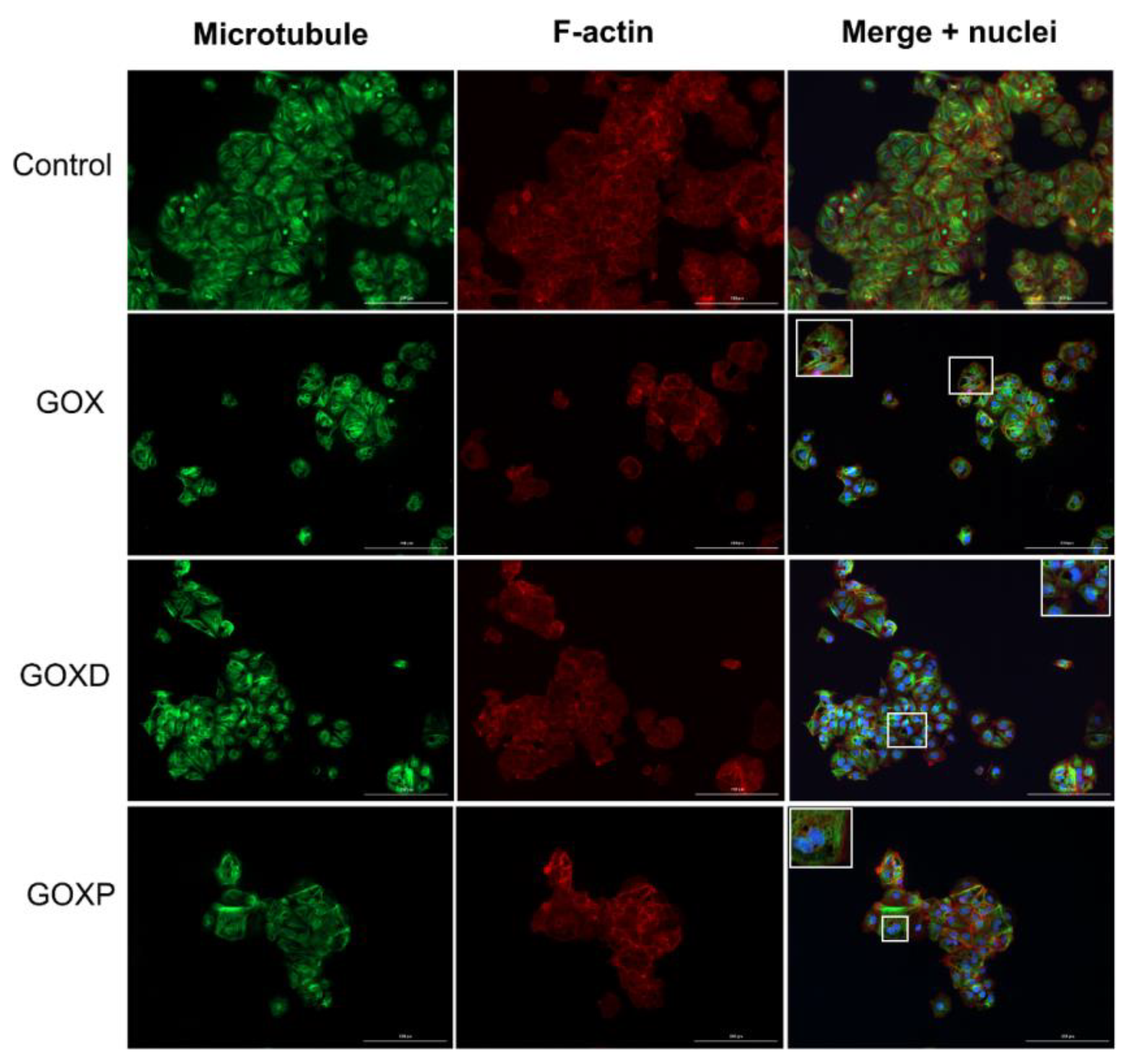 Pharmaceutics 15 02655 g002