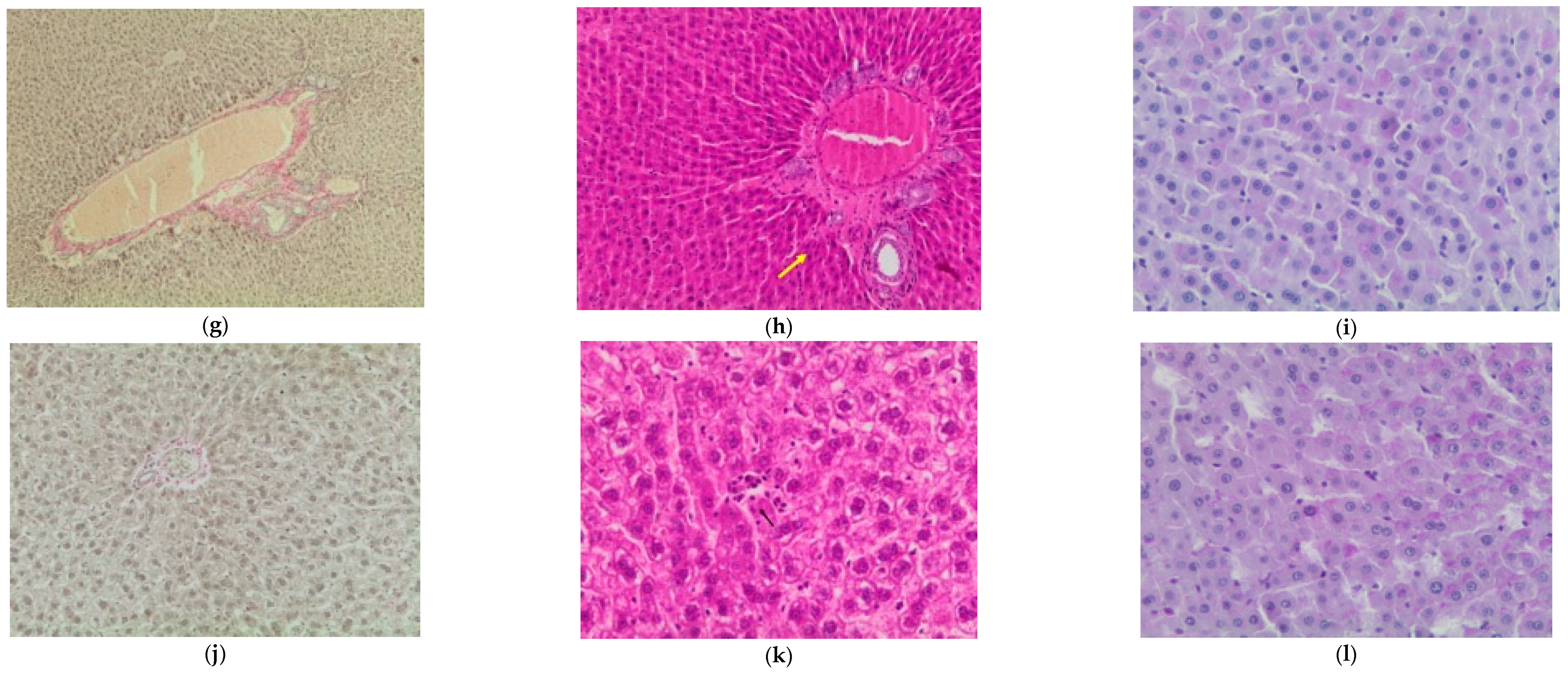 Pharmaceutics 15 02657 g004b