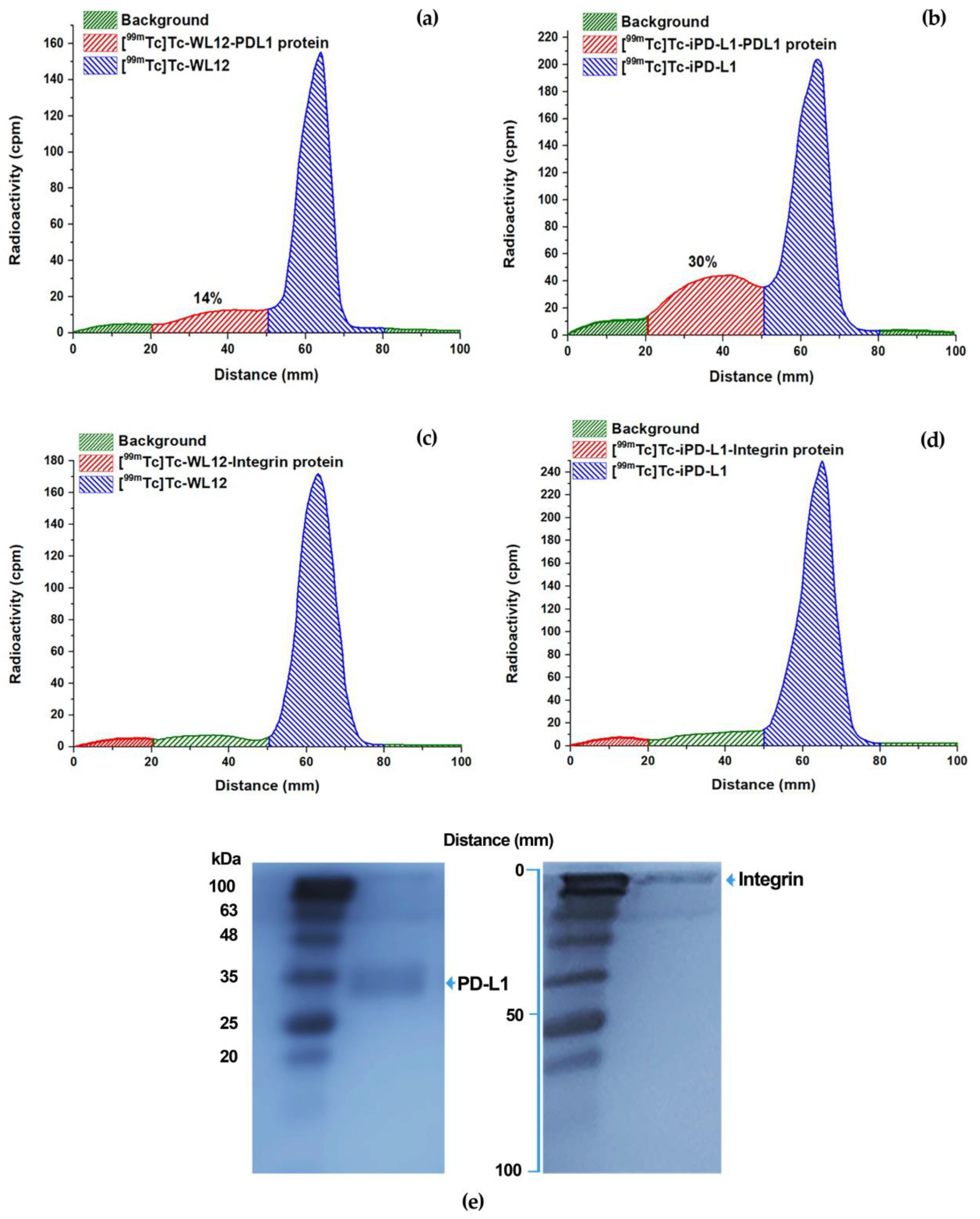 Pharmaceutics 15 02662 g009