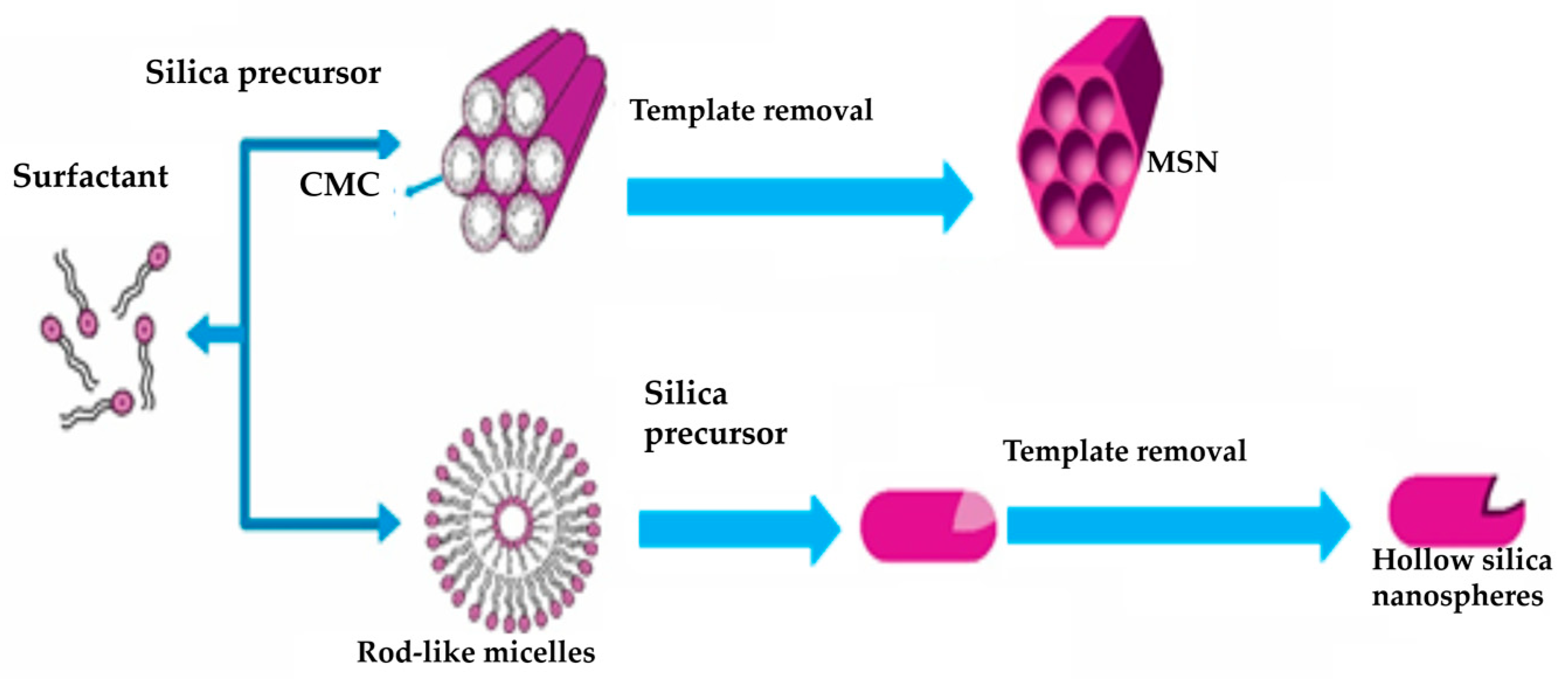 Pharmaceutics 15 02666 g004