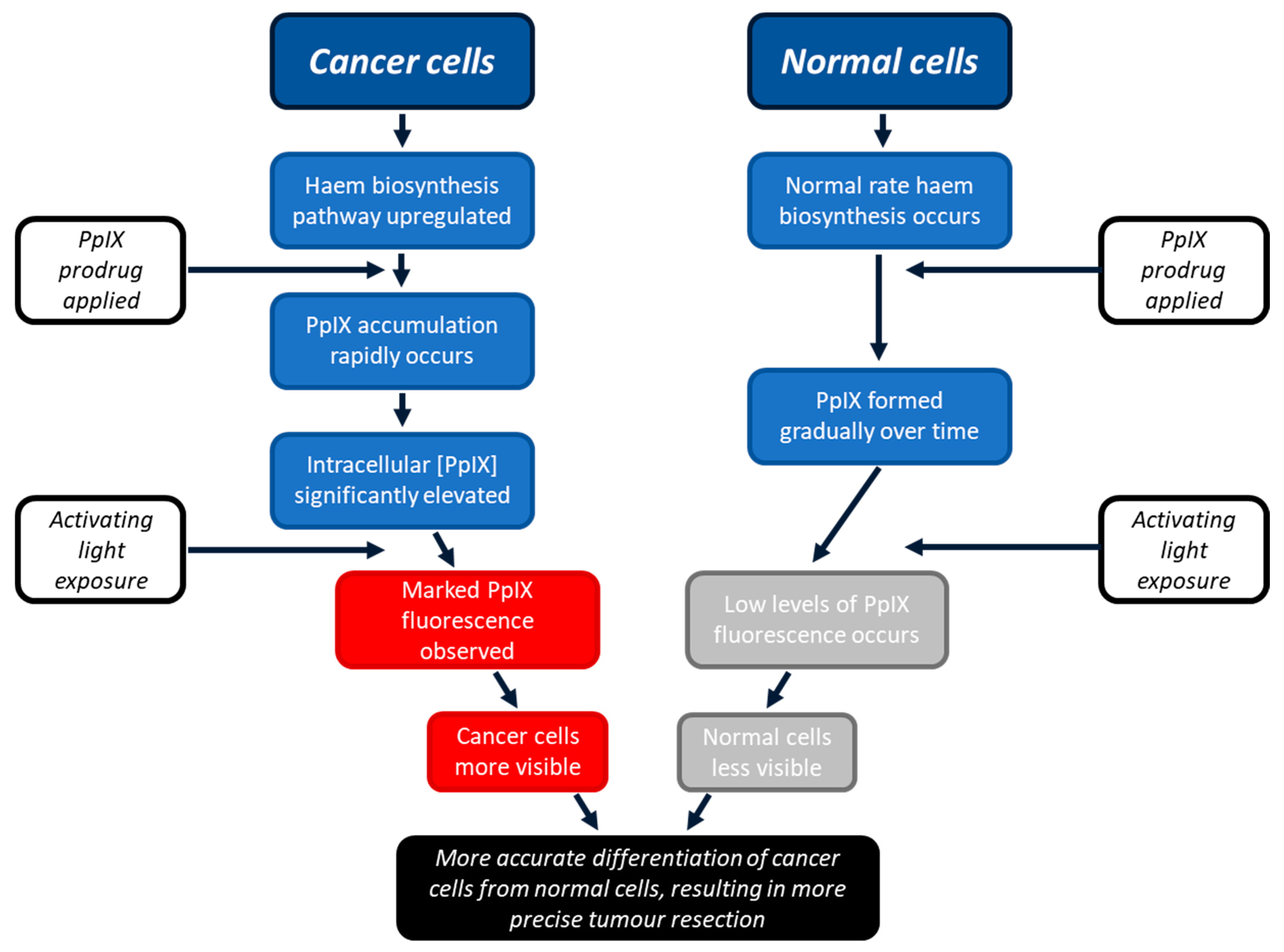 Pharmaceutics 15 02668 g001 Pharmaceutics 15 02668 g001