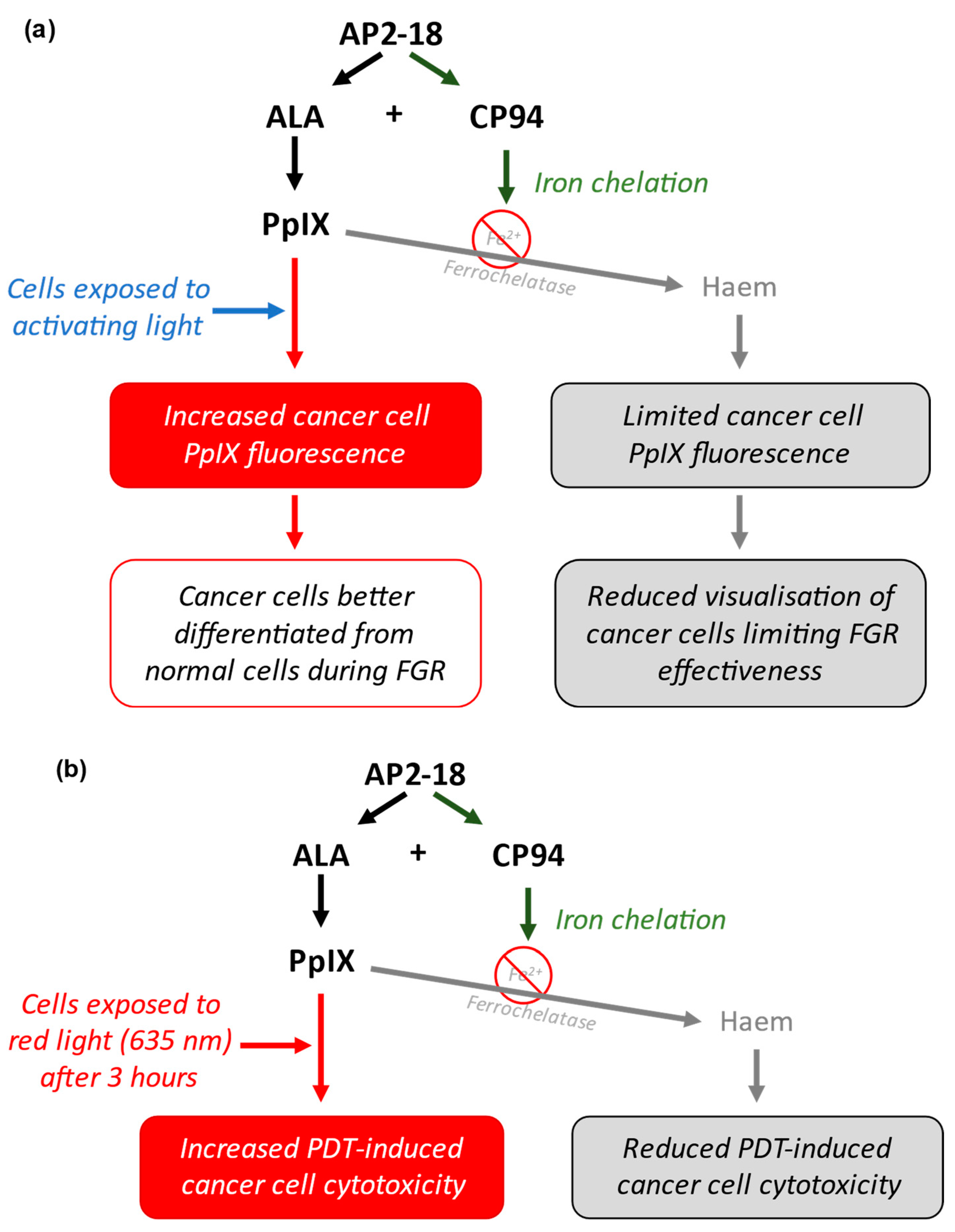 Pharmaceutics 15 02668 g002 Pharmaceutics 15 02668 g002