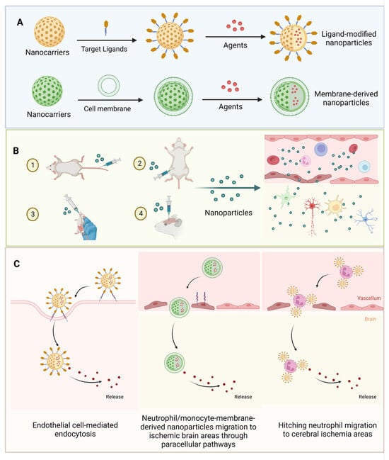 Pharmaceutics | Free Full-Text | Nanomaterial-Based Drug Delivery ...