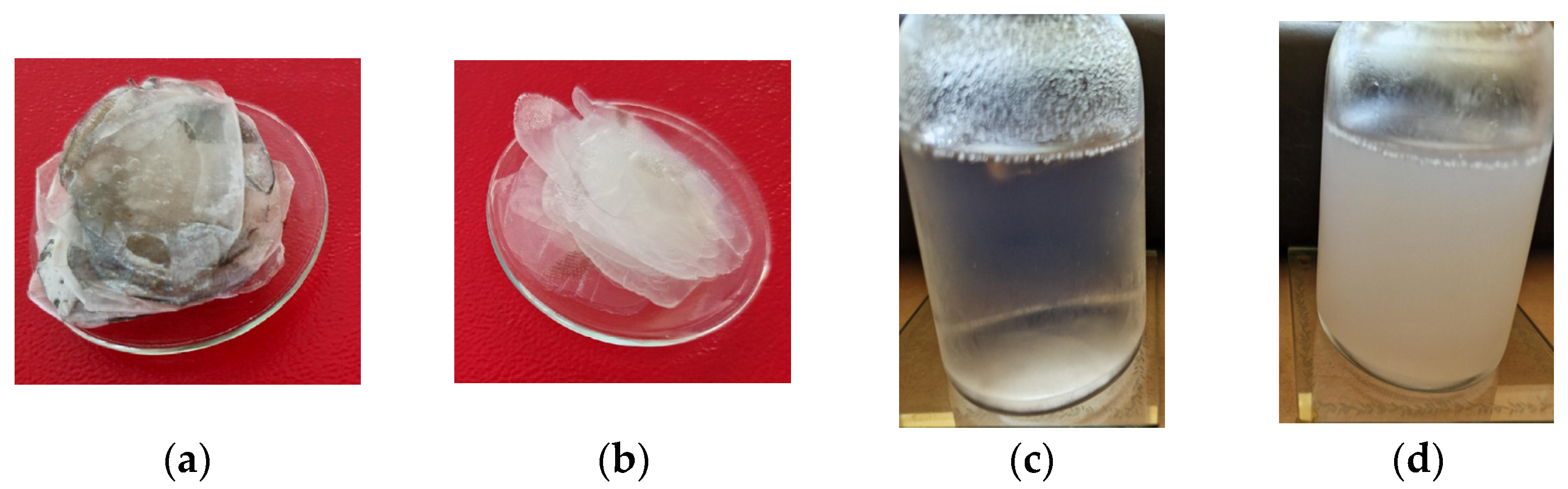 Dry fish scale skin, biomee™