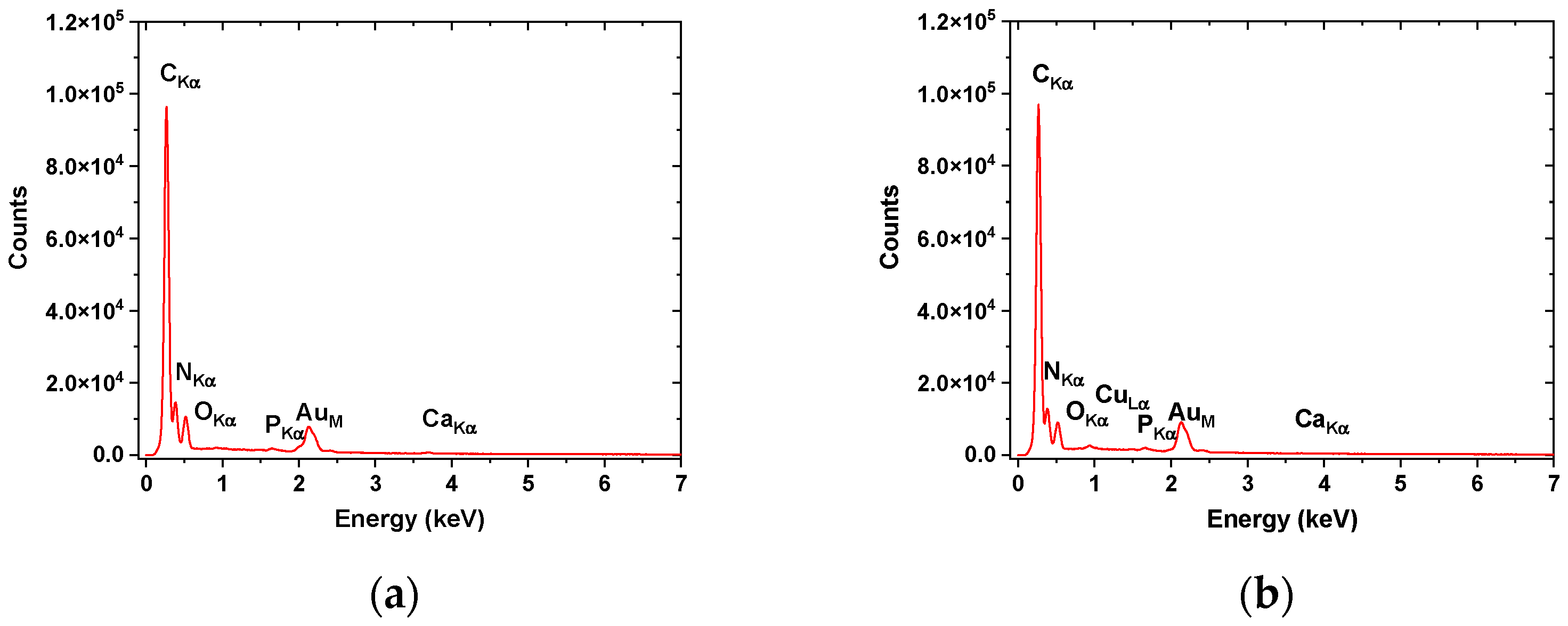 Pharmaceutics 15 02692 g003