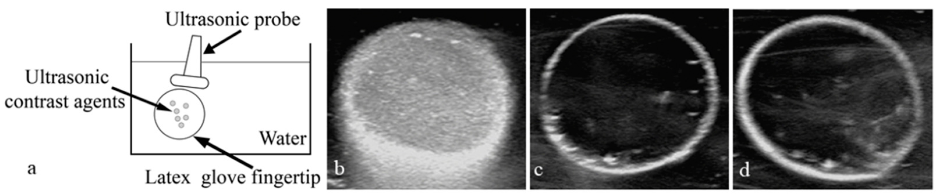 Pharmaceutics 15 02693 g014