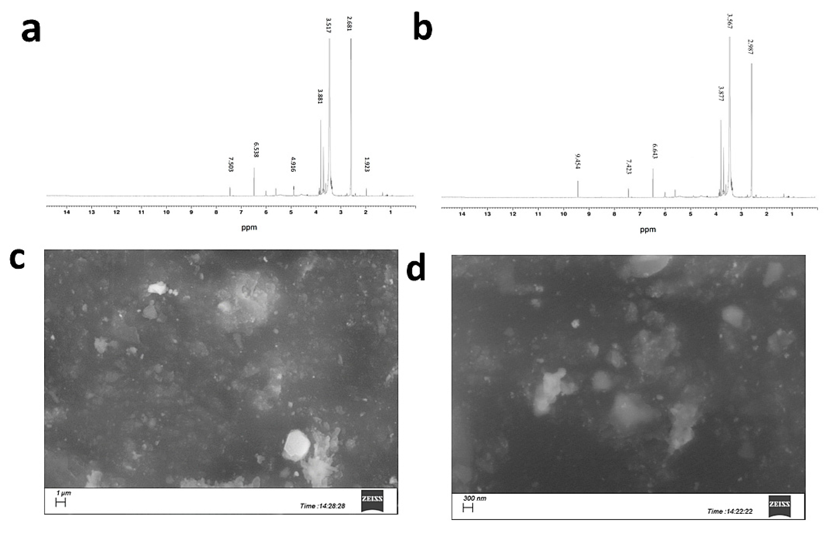 Pharmaceutics 15 02716 g001 Pharmaceutics 15 02716 g001