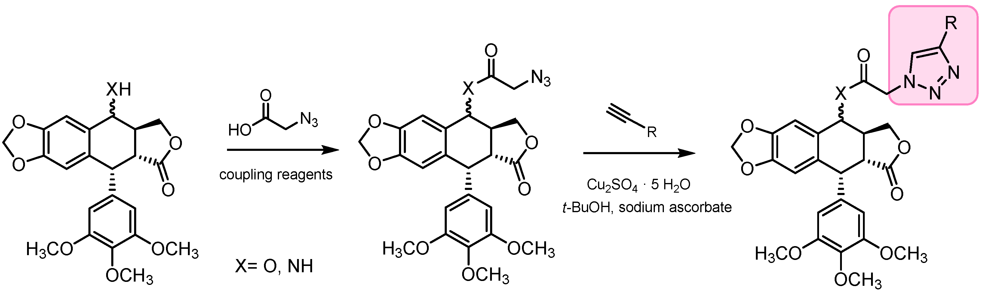 Pharmaceutics 15 02728 sch017 Pharmaceutics 15 02728 sch017