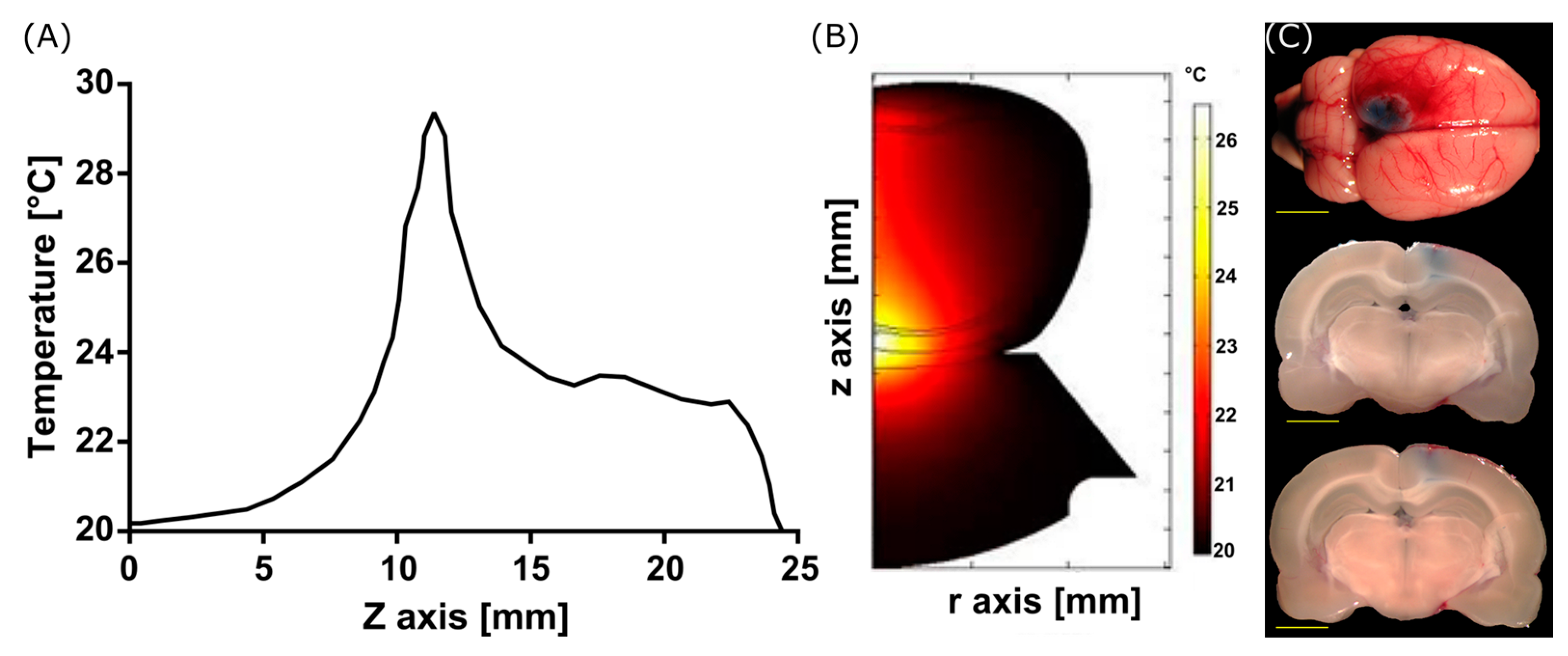 Pharmaceutics 15 02733 g004