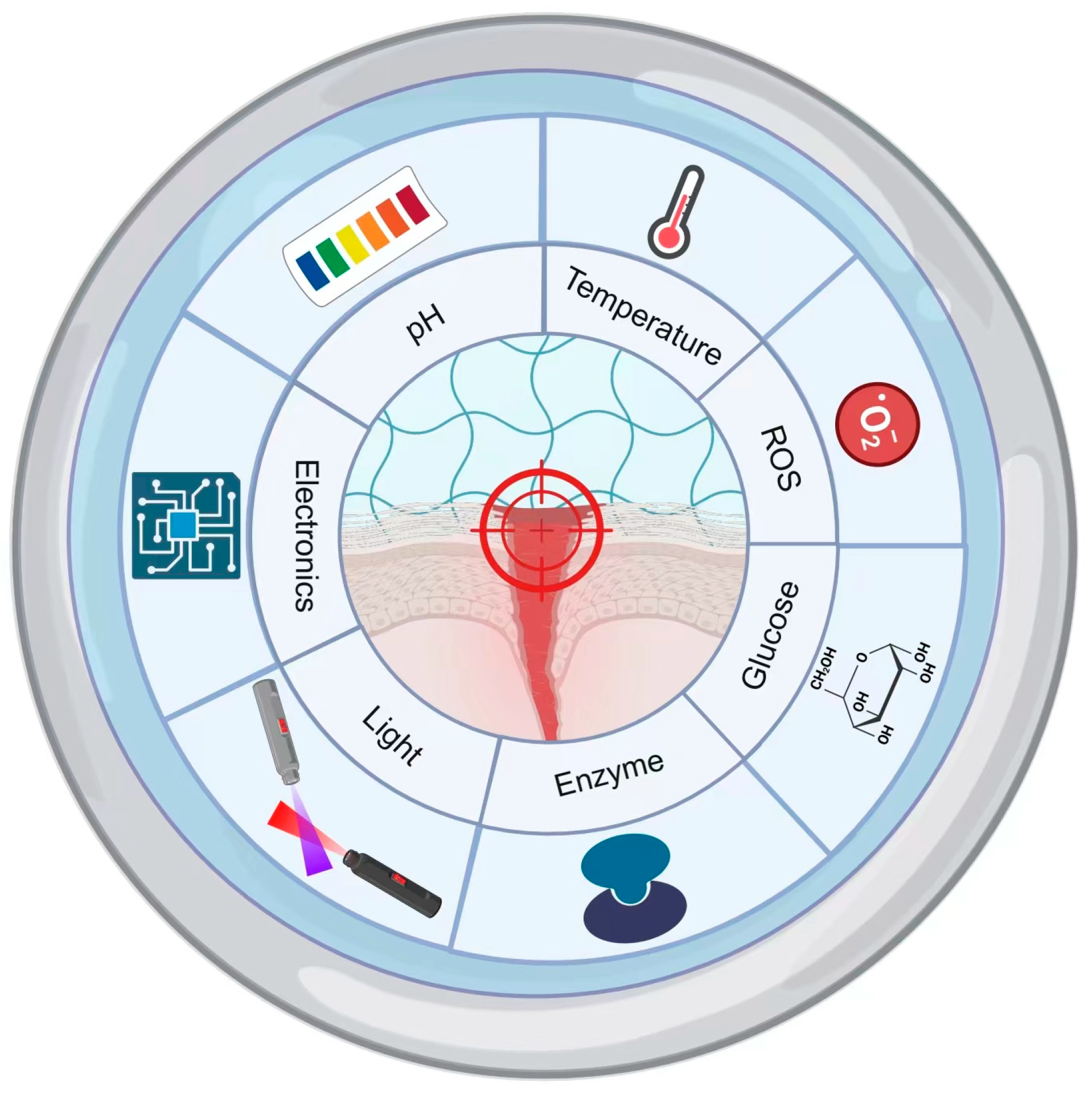 Pharmaceutics 15 02735 sch001