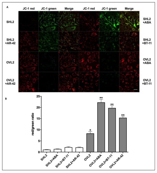 Pharmaceutics | Free Full-Text | New Insights into the LANCL2-ABA 