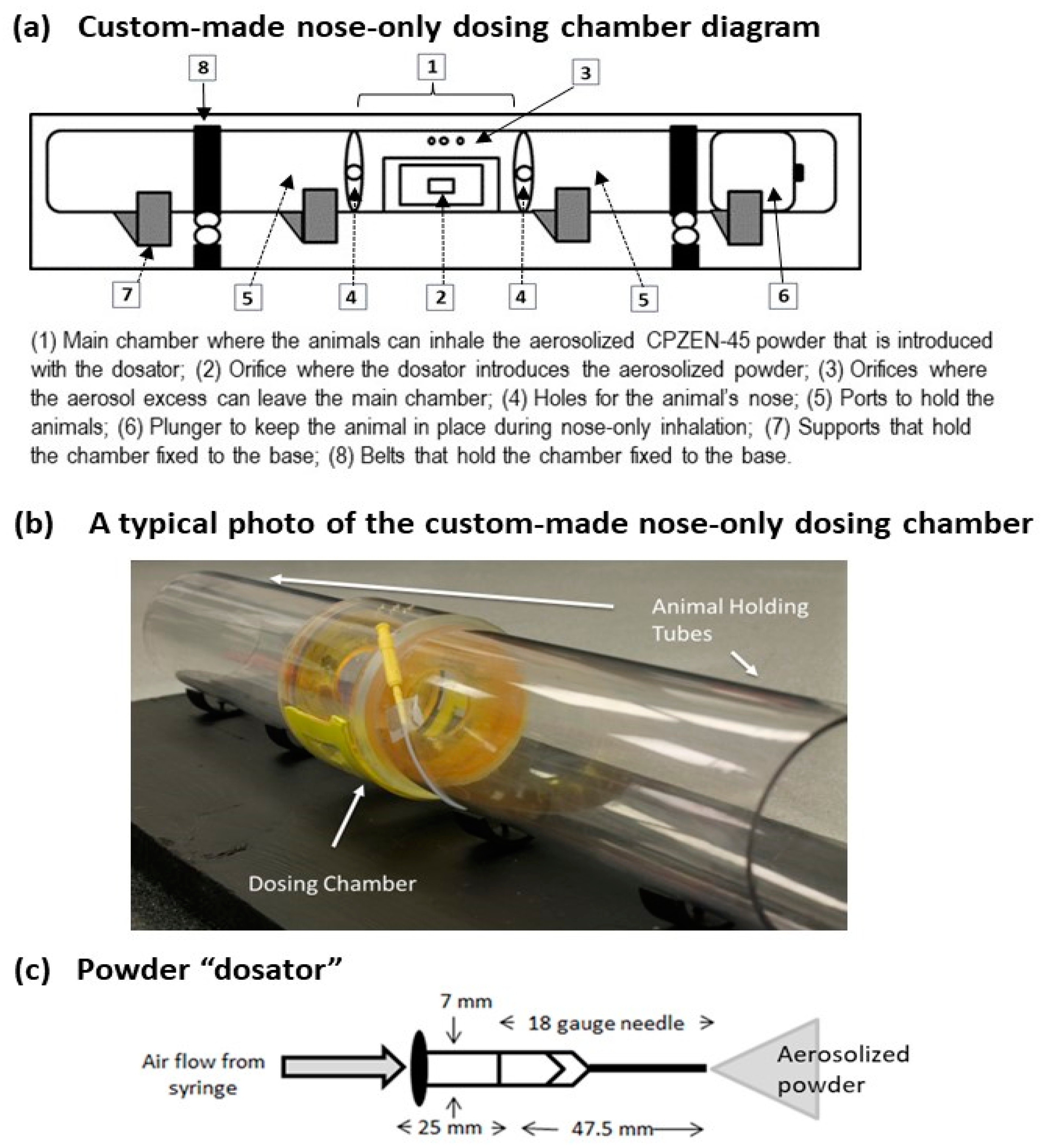 Pharmaceutics 15 02758 g003 Pharmaceutics 15 02758 g003