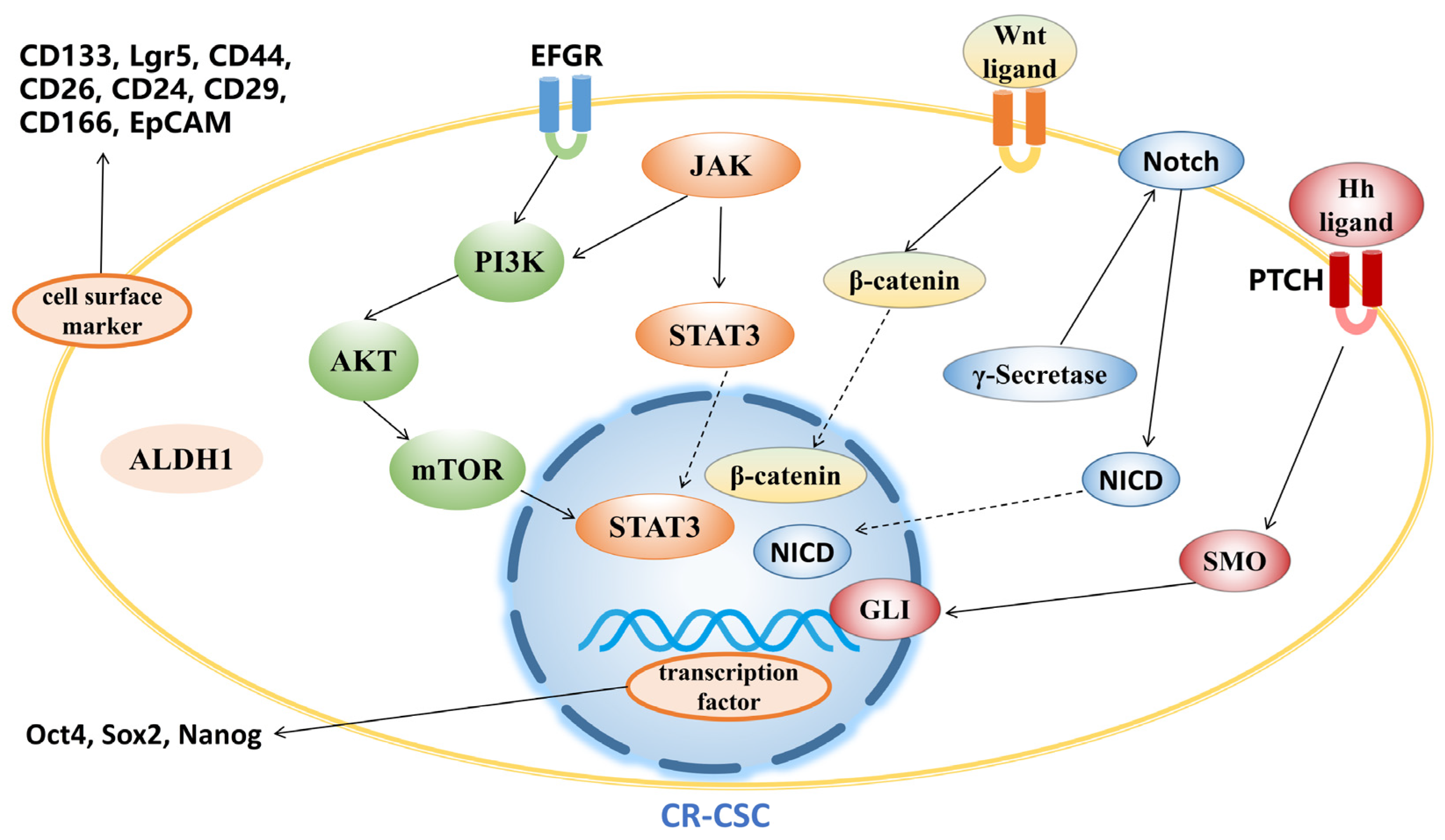 Pharmaceutics 15 02763 g002