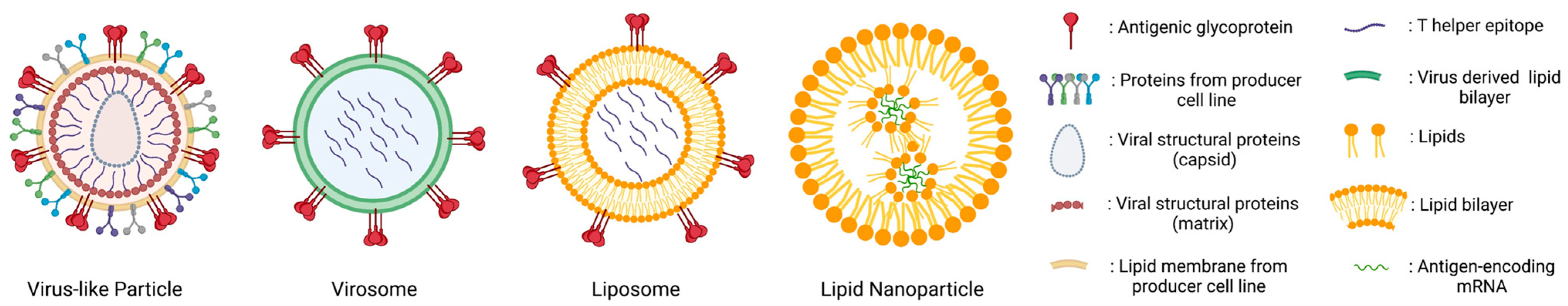 Pharmaceutics 16 00024 g001 Pharmaceutics 16 00024 g001