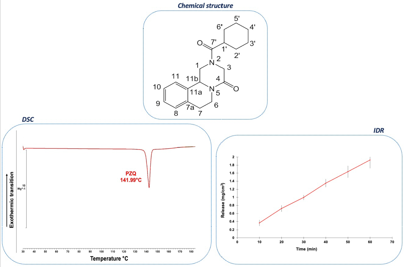 Pharmaceutics 16 00027 g001
