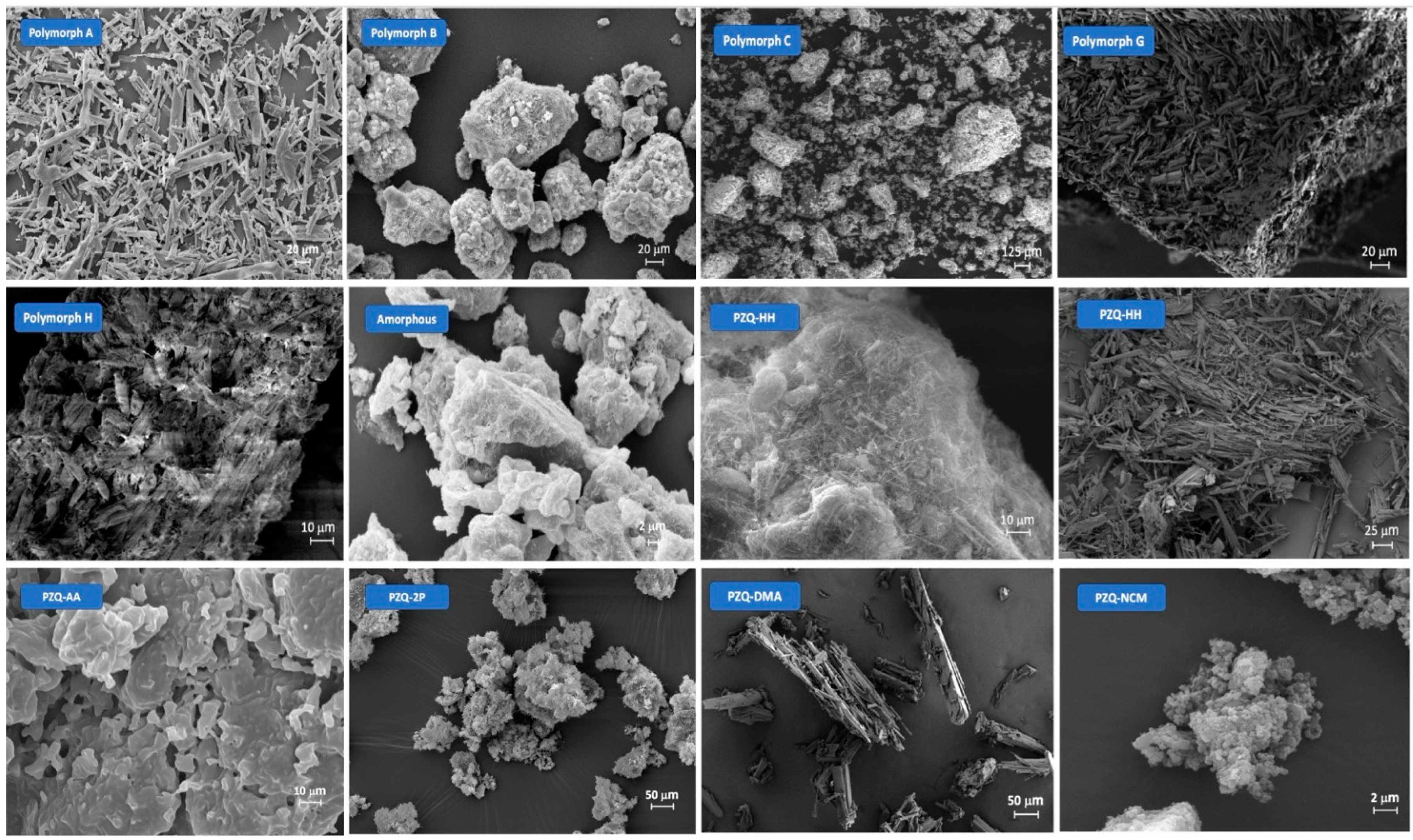 Pharmaceutics 16 00027 g004