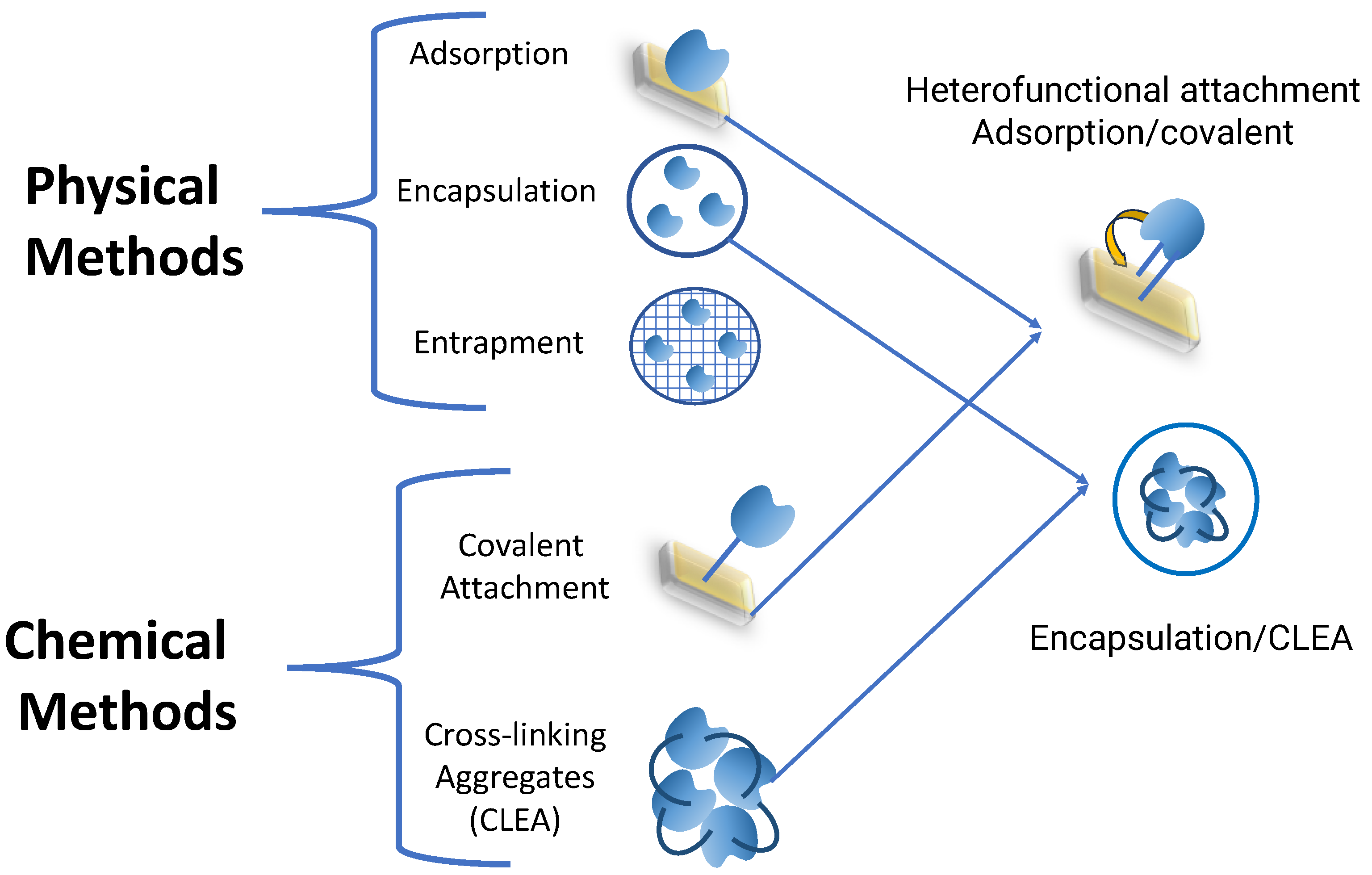 Pharmaceutics 16 00038 g003