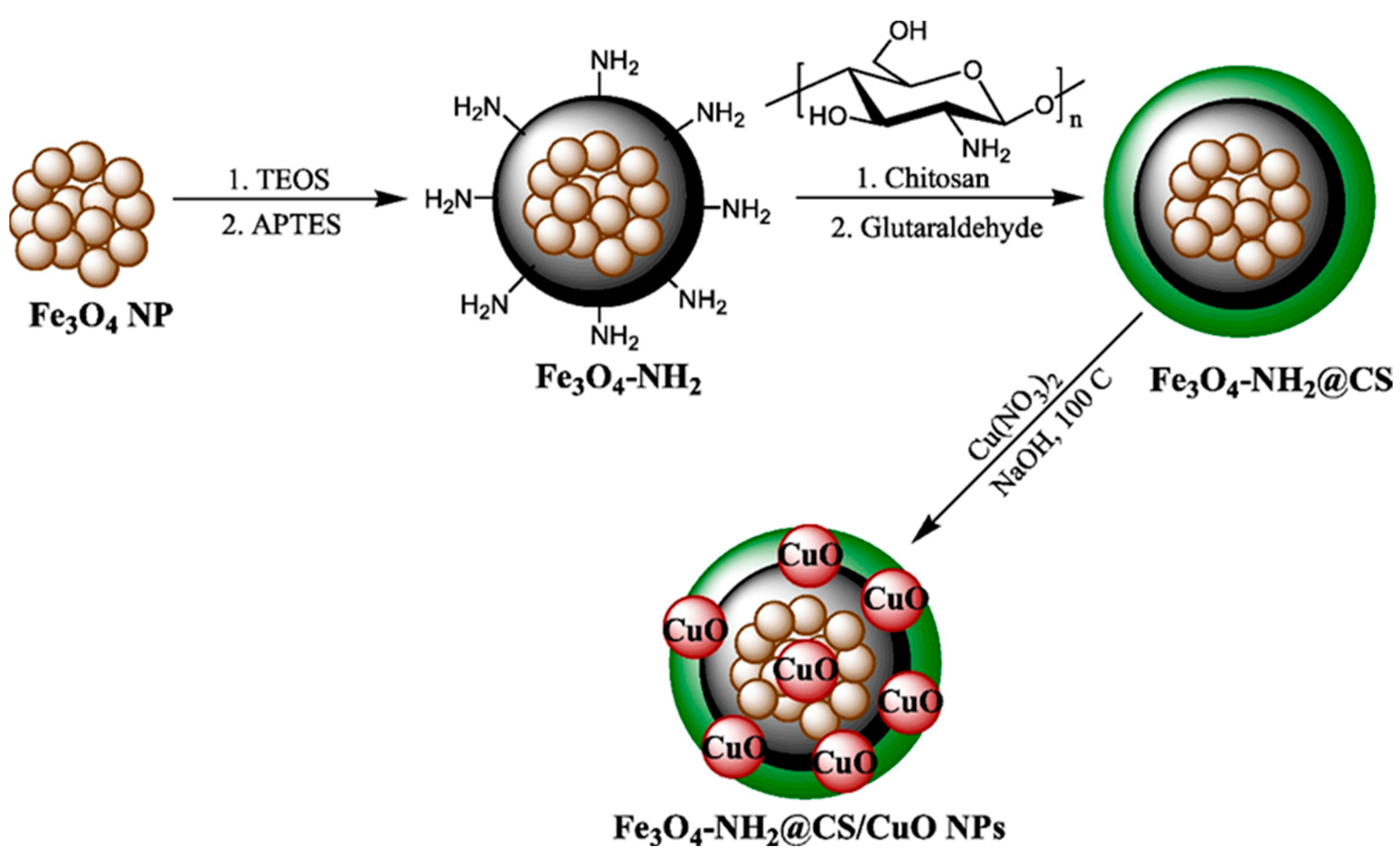 Pharmaceutics 16 00043 g006