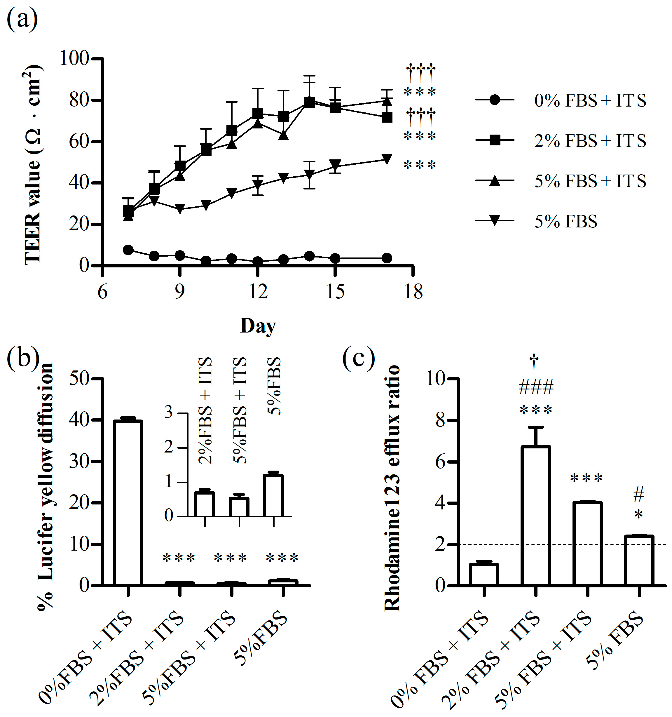 Pharmaceutics 16 00048 g004 Pharmaceutics 16 00048 g004