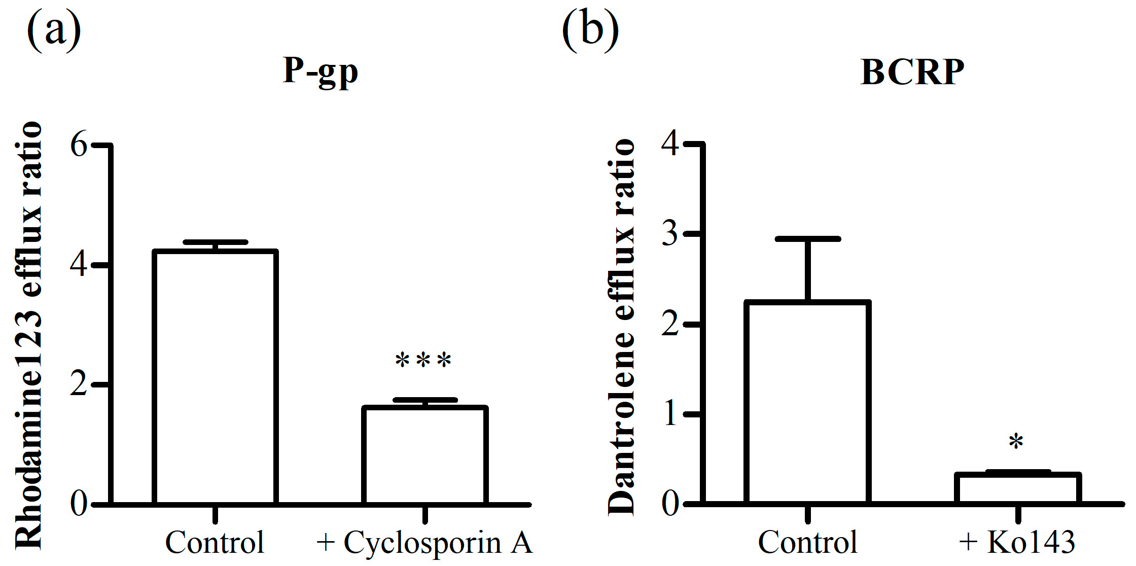 Pharmaceutics 16 00048 g006 Pharmaceutics 16 00048 g006