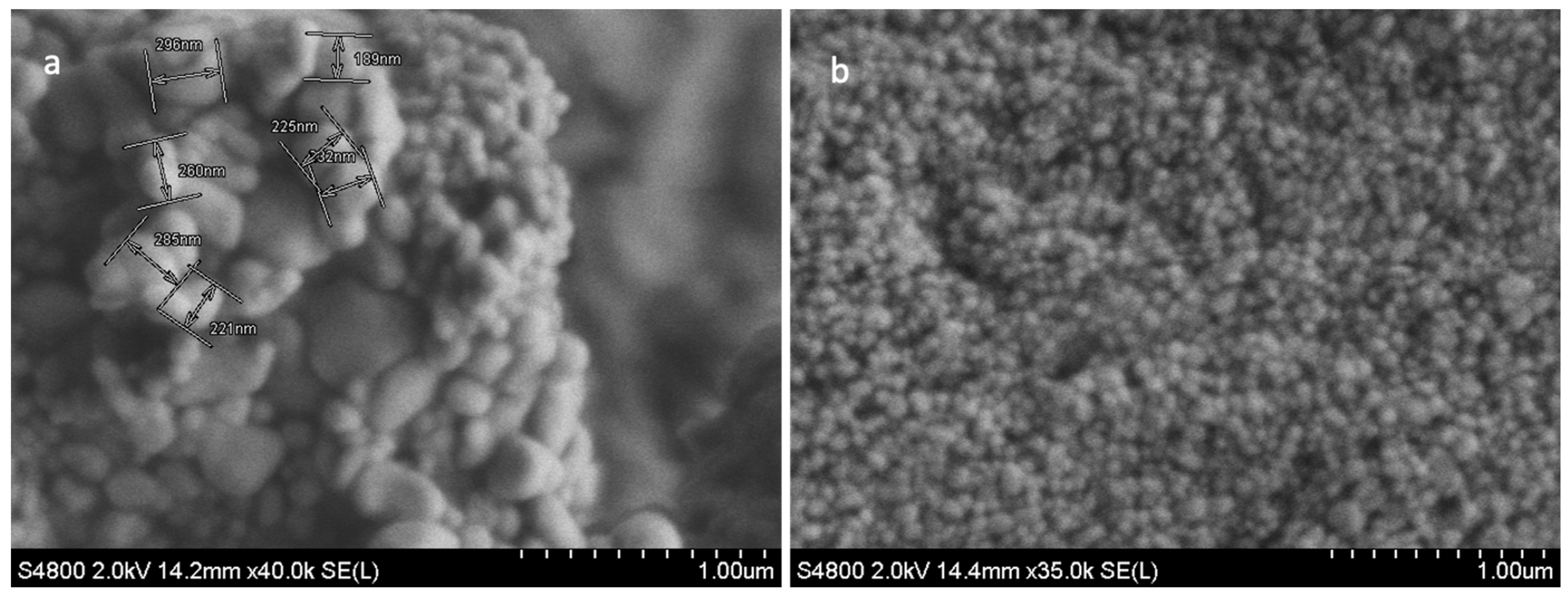 Pharmaceutics 16 00057 g001 Pharmaceutics 16 00057 g001