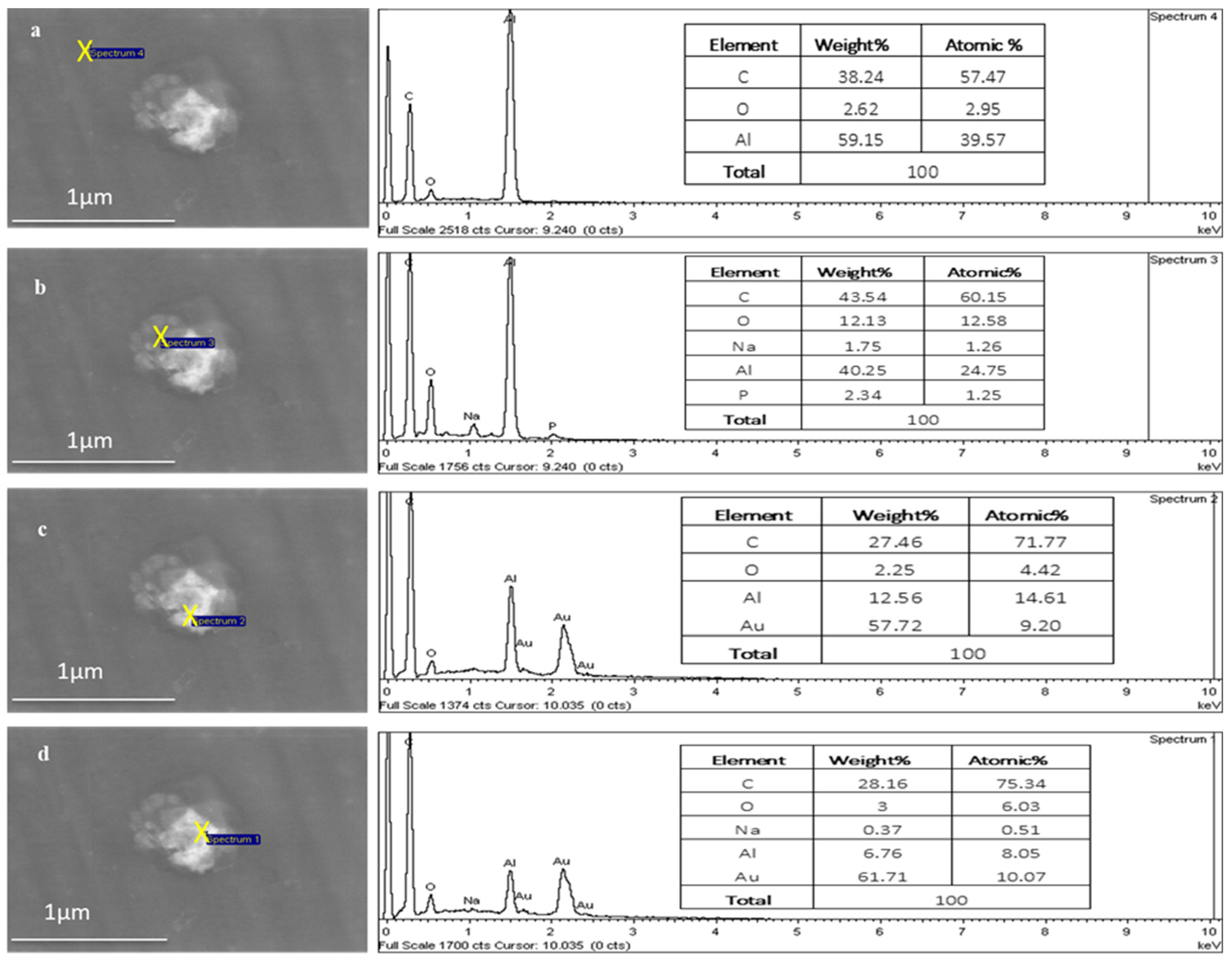 Pharmaceutics 16 00057 g008 Pharmaceutics 16 00057 g008