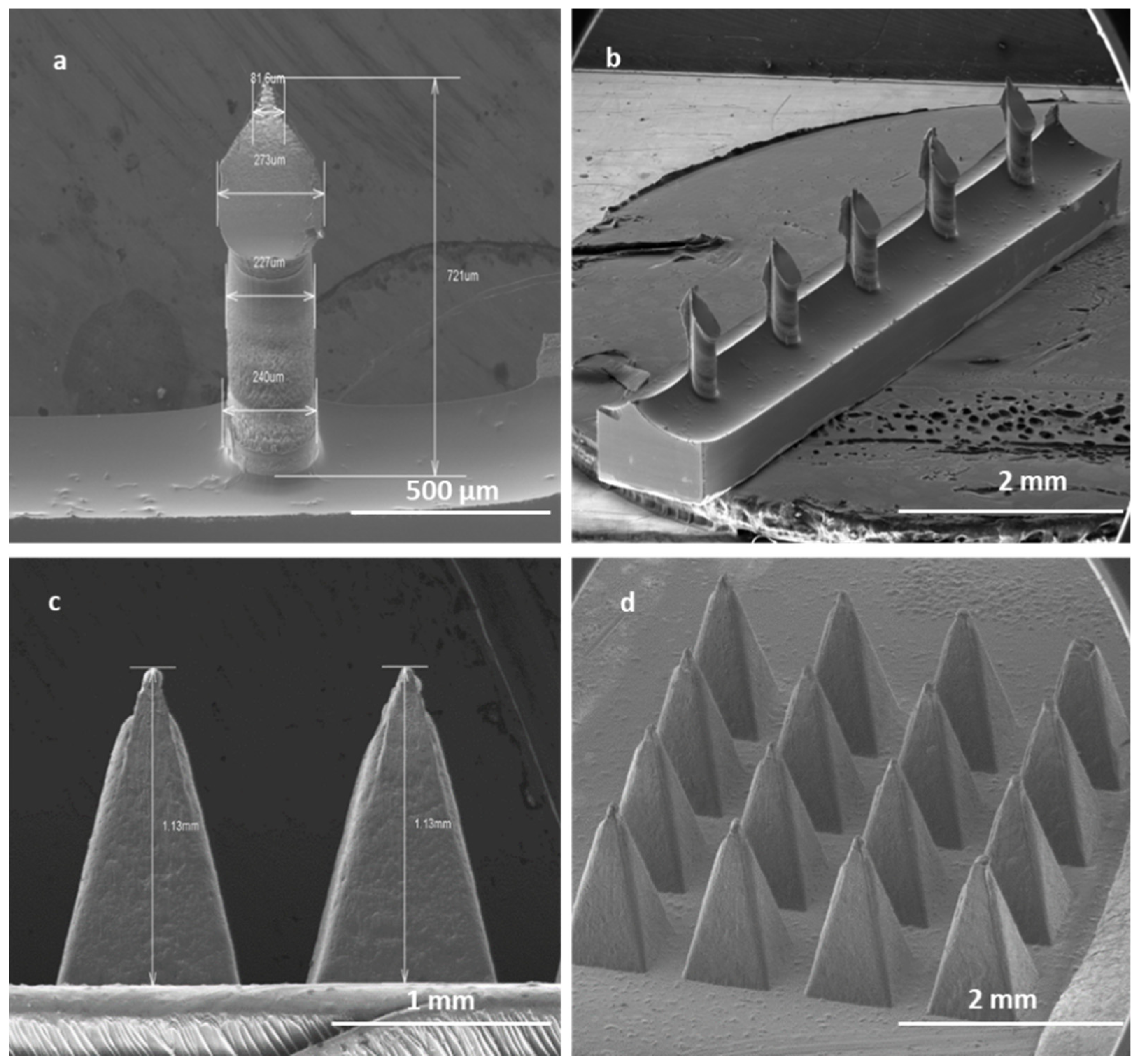 Pharmaceutics 16 00057 g009 Pharmaceutics 16 00057 g009