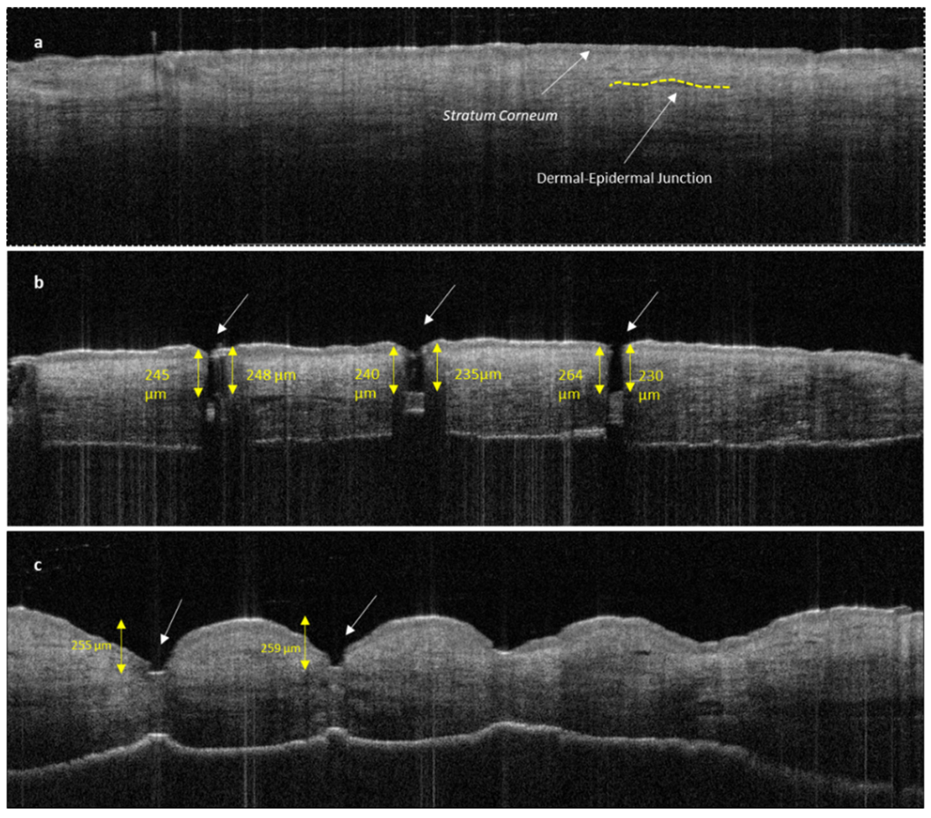 Pharmaceutics 16 00057 g010 Pharmaceutics 16 00057 g010