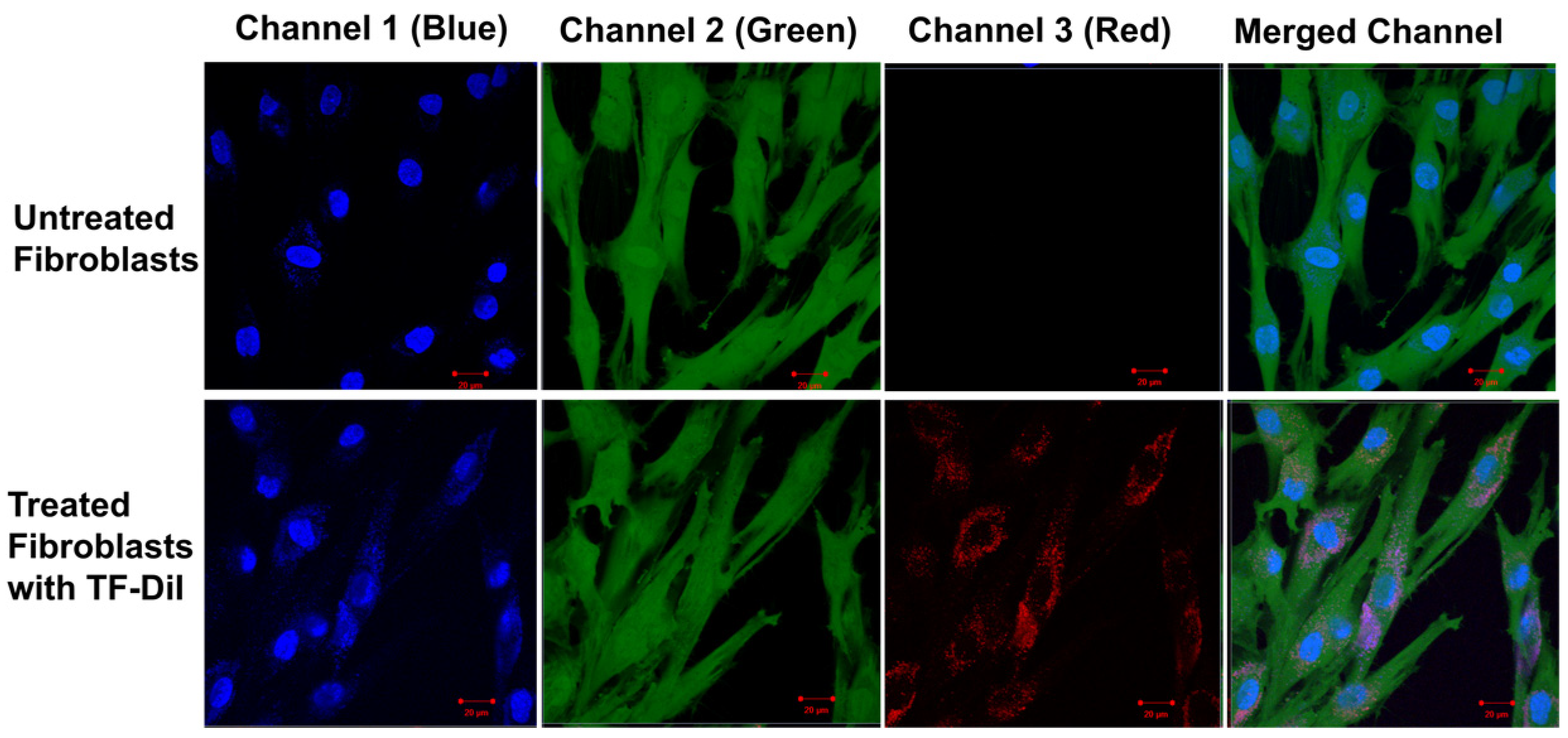 Pharmaceutics 16 00057 g015 Pharmaceutics 16 00057 g015
