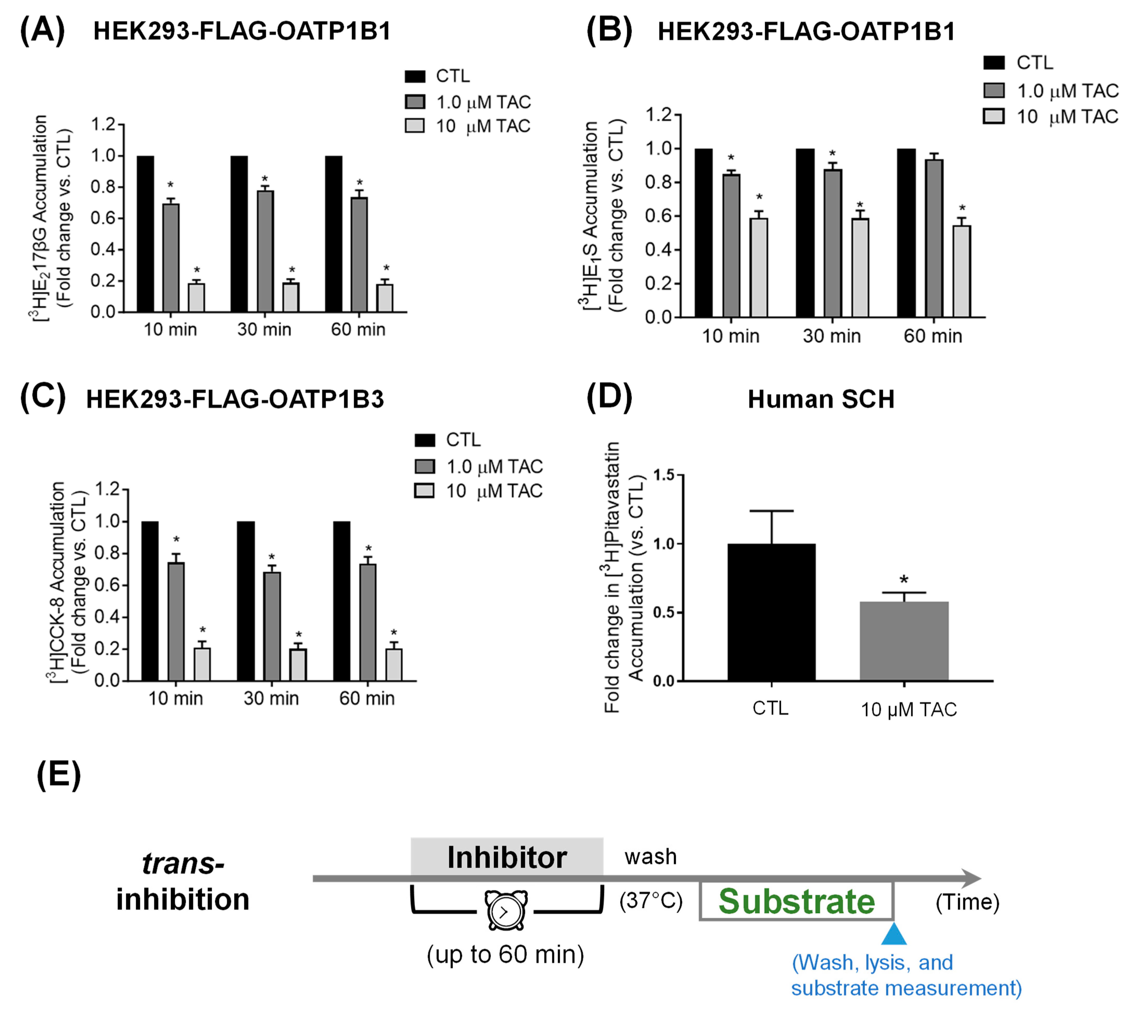 Pharmaceutics 16 00063 g003 Pharmaceutics 16 00063 g003