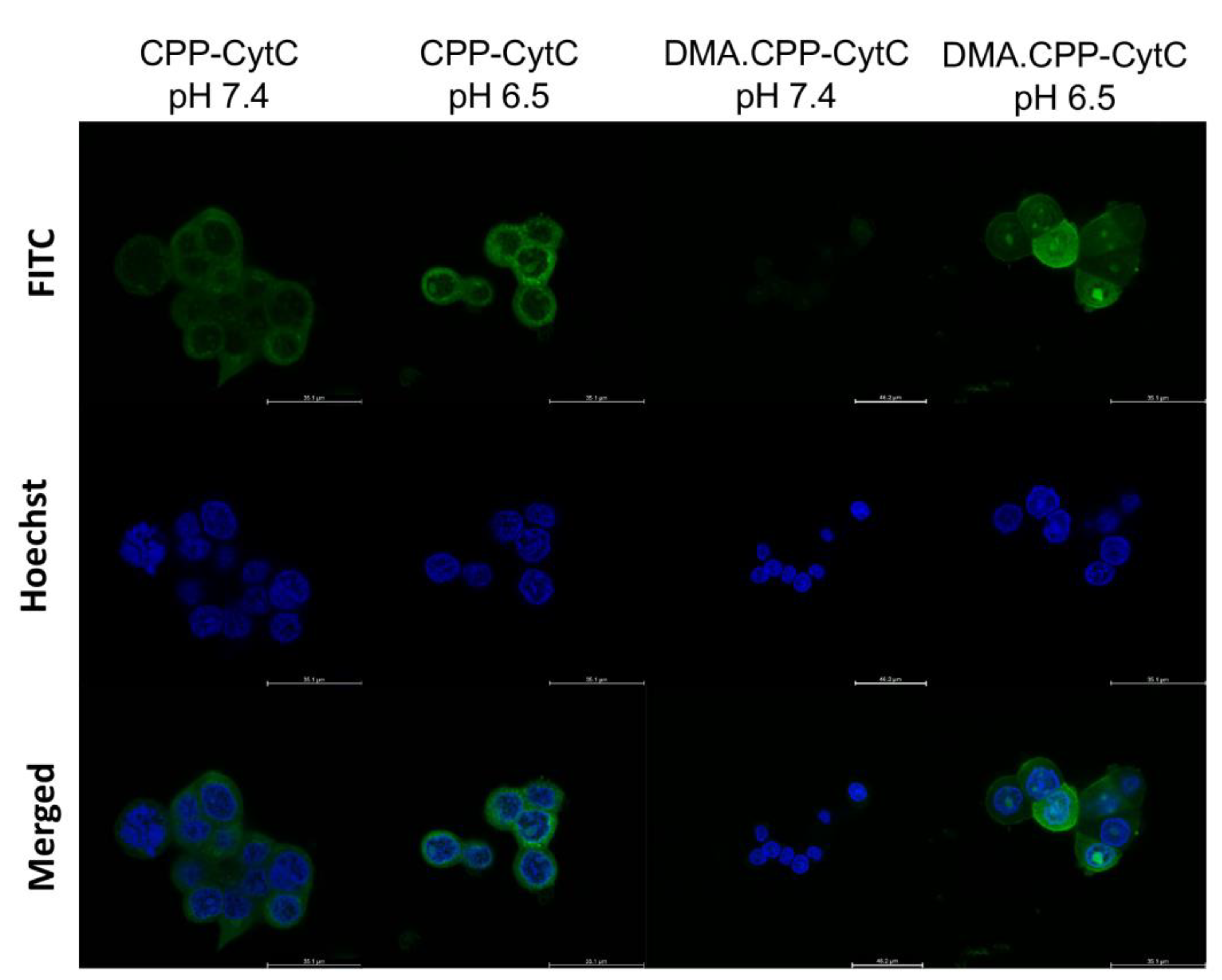 Pharmaceutics 16 00071 g002