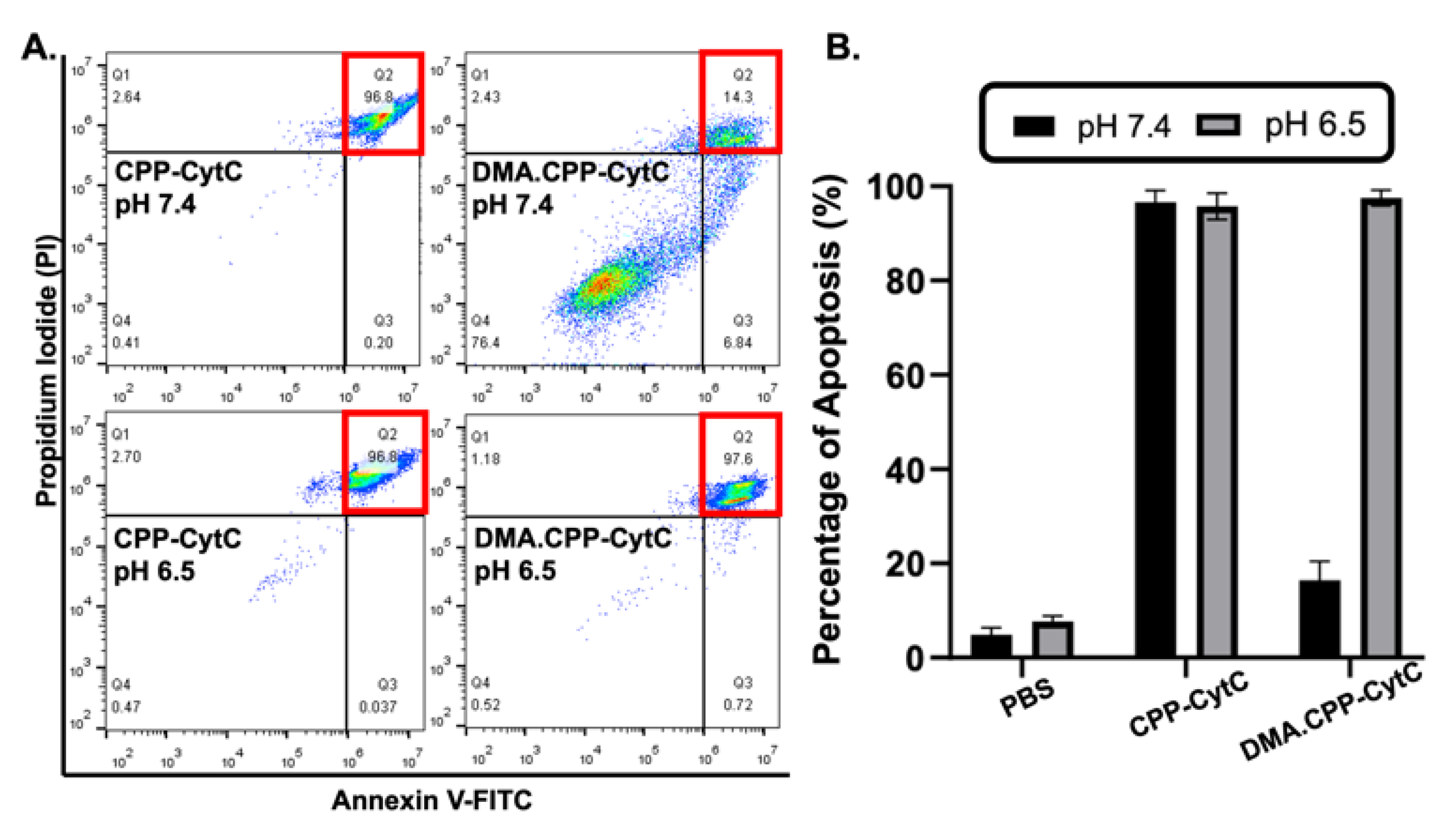Pharmaceutics 16 00071 g004