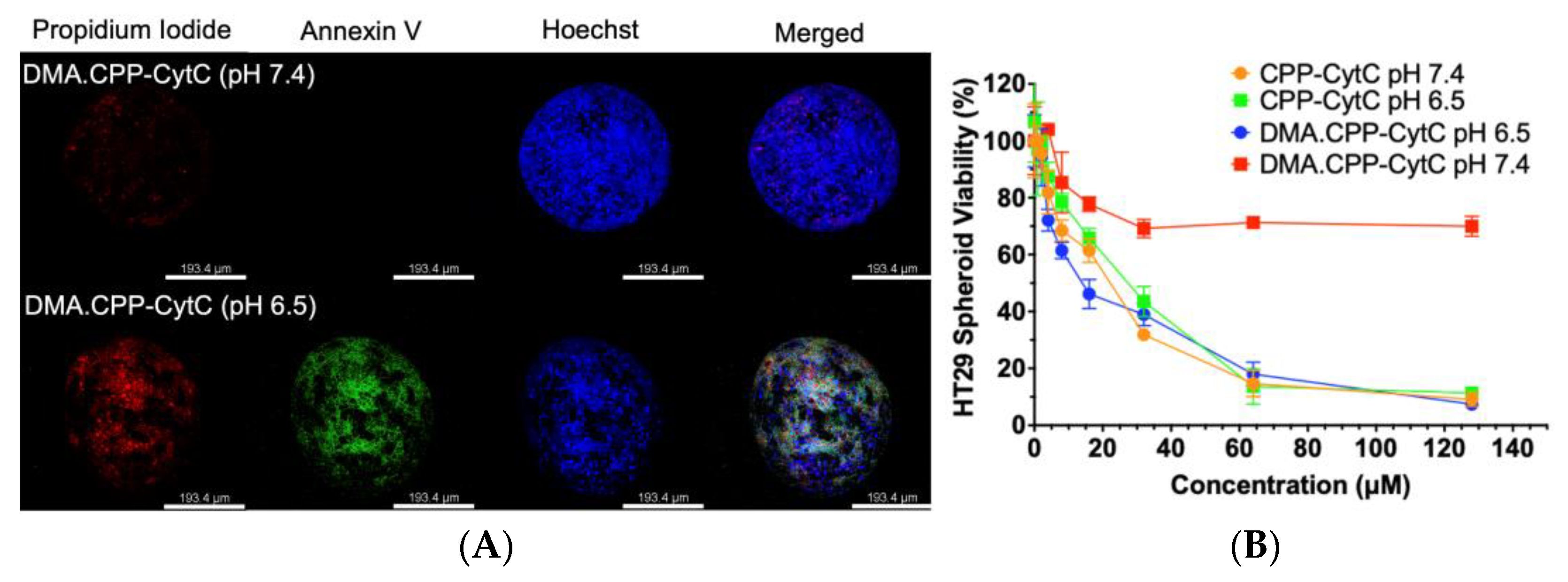 Pharmaceutics 16 00071 g005