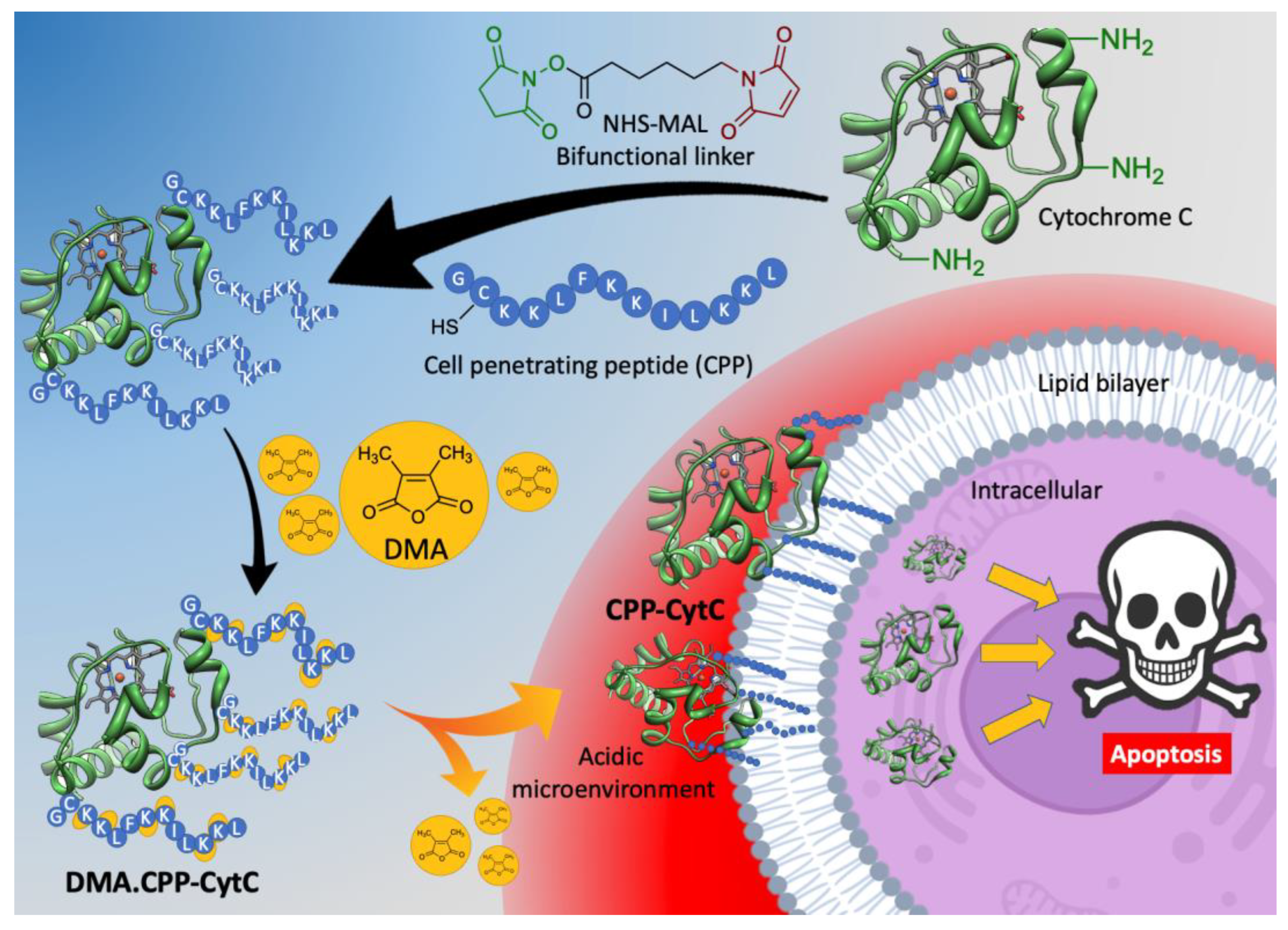 Pharmaceutics 16 00071 sch001