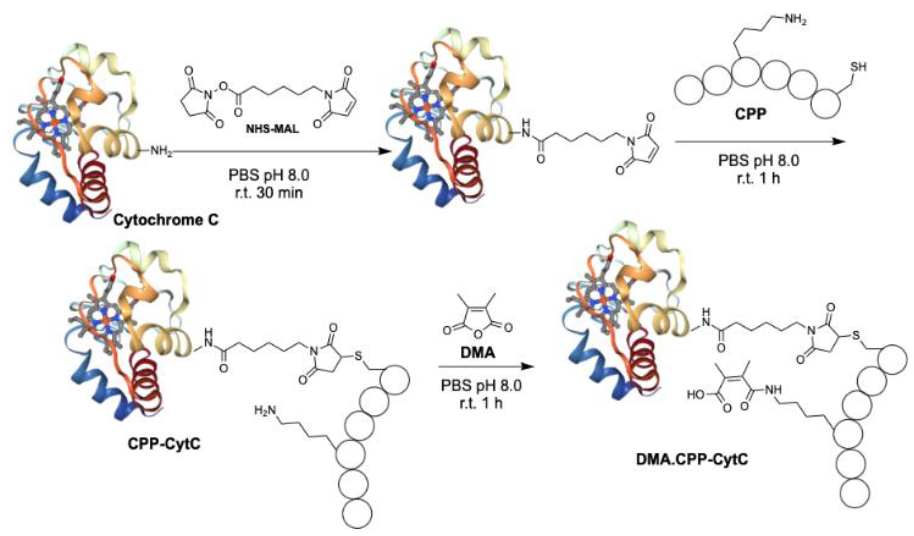 Pharmaceutics 16 00071 sch002
