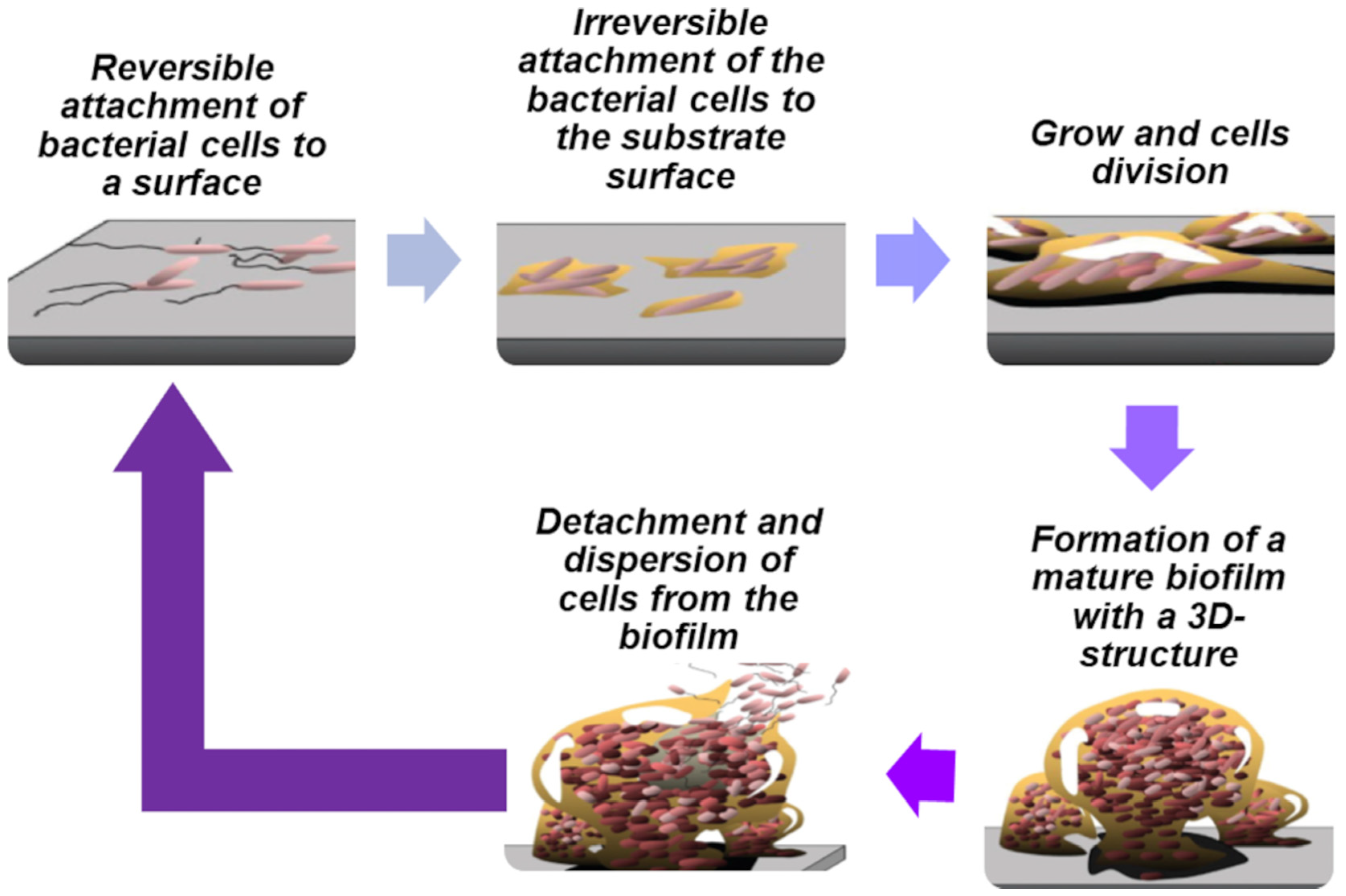 Pharmaceutics | Free Full-Text | Shifting from Ammonium to Phosphonium  Salts: A Promising Strategy to Develop Next-Generation Weapons against  Biofilms