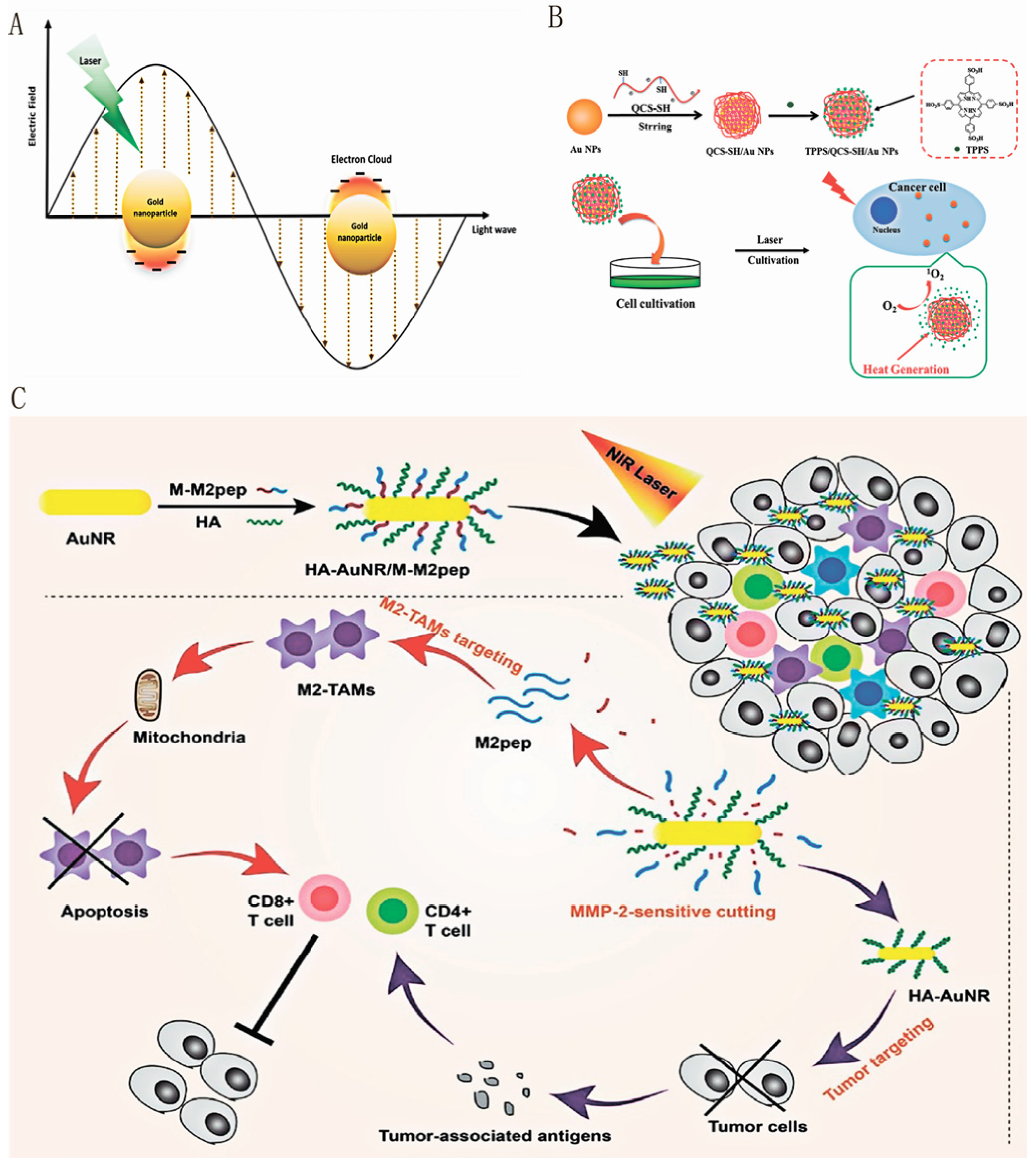 Pharmaceutics 16 00088 g007 Pharmaceutics 16 00088 g007