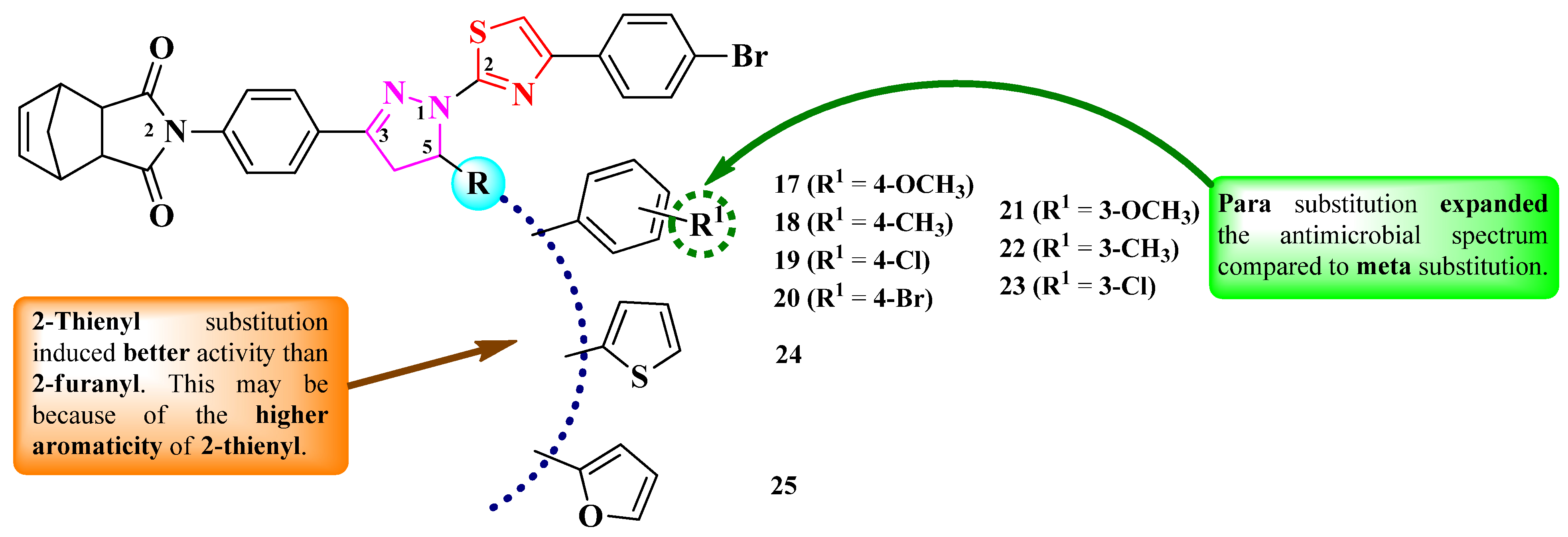 Pharmaceutics 16 00089 g008