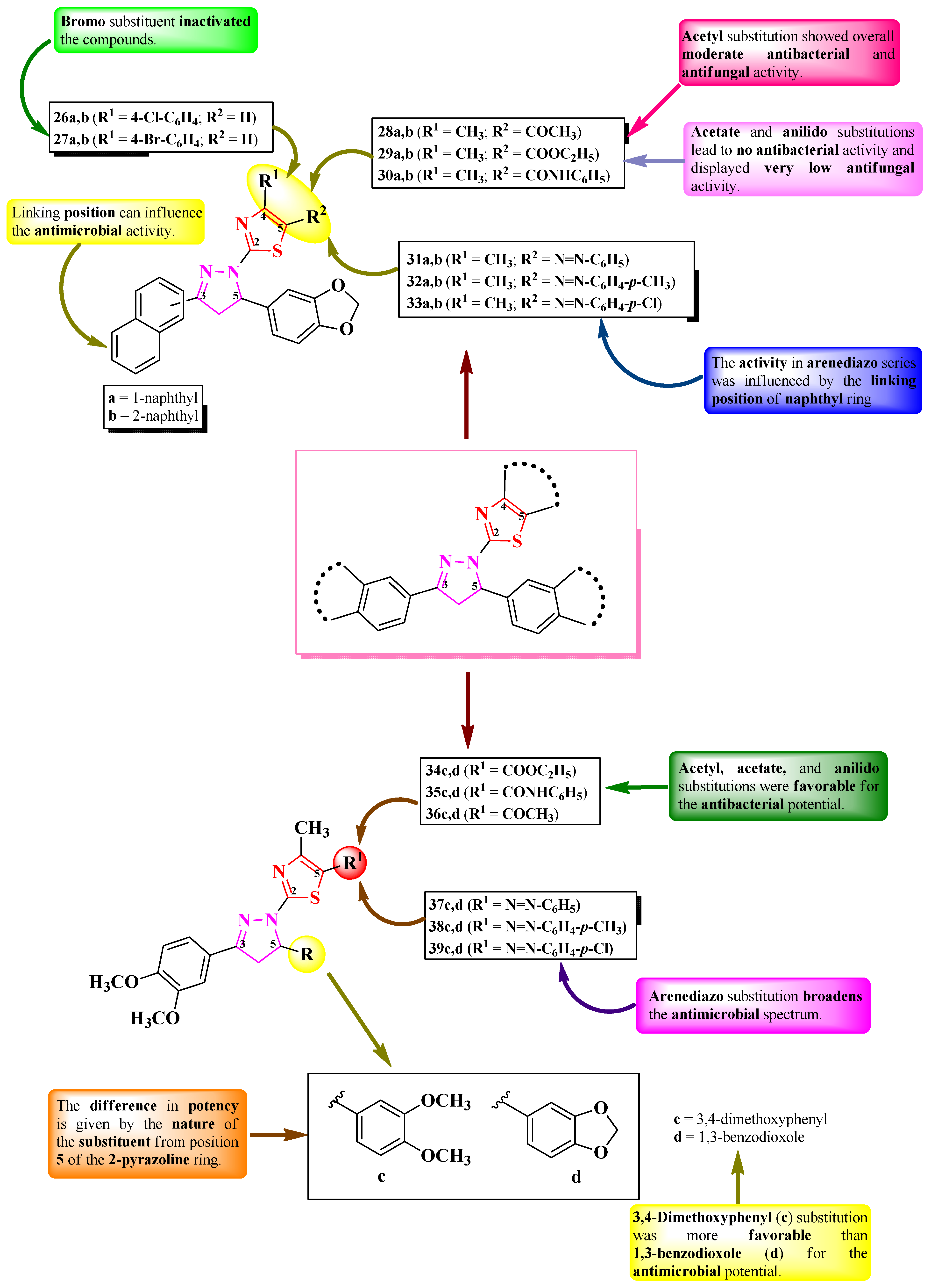 Pharmaceutics 16 00089 g009